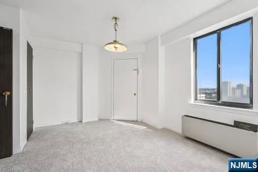 307 Prospect Avenue 16A