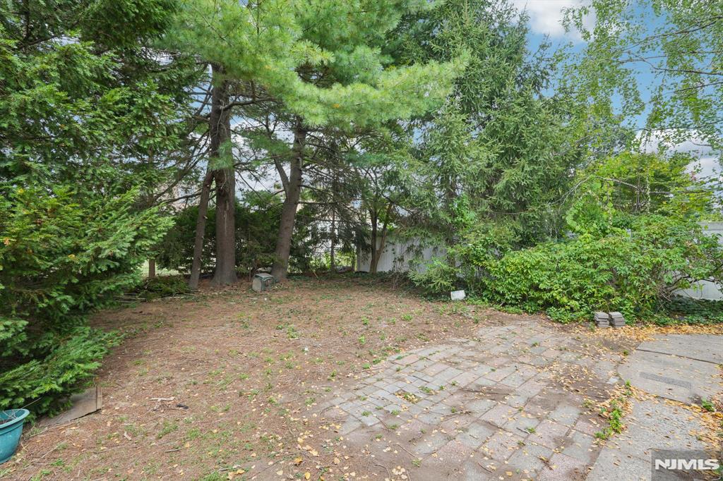 23-17 Berkshire Road