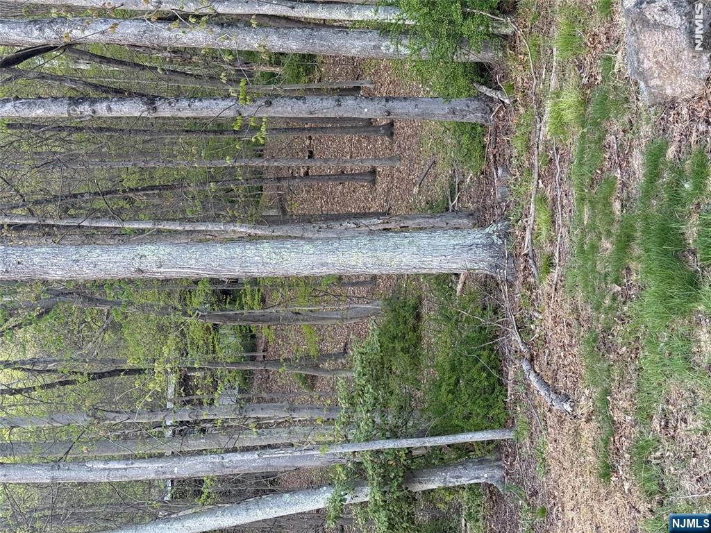 78 Deerhaven