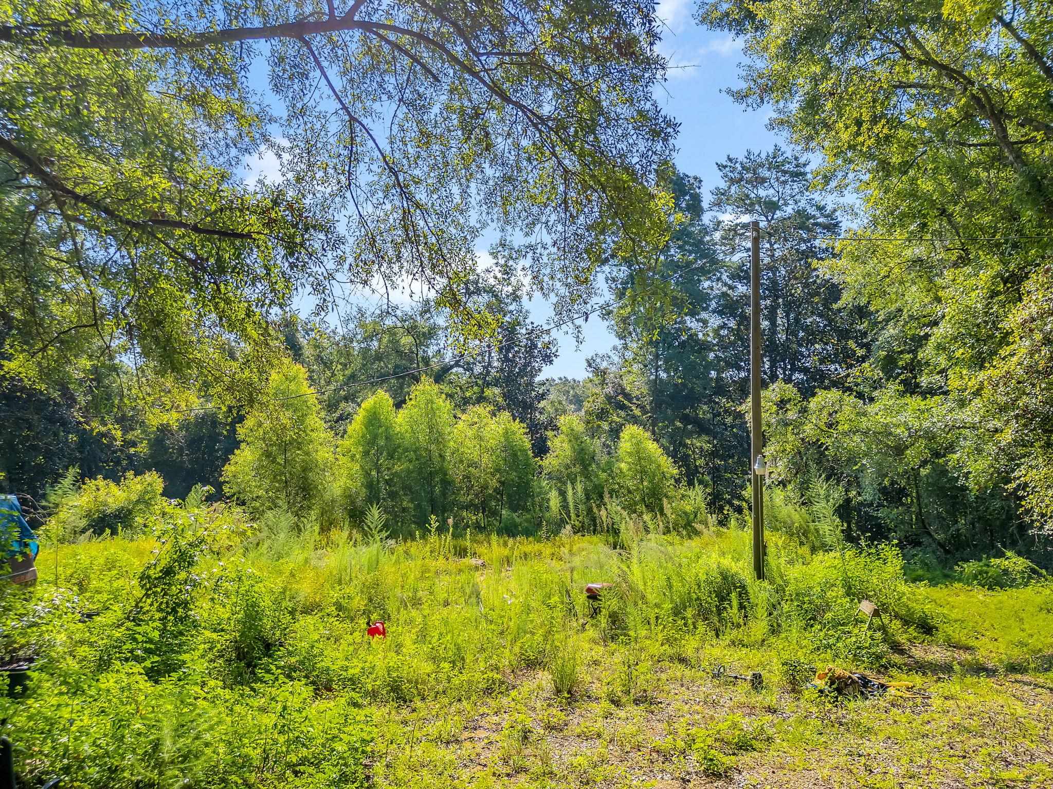 580 Spring meadow Road