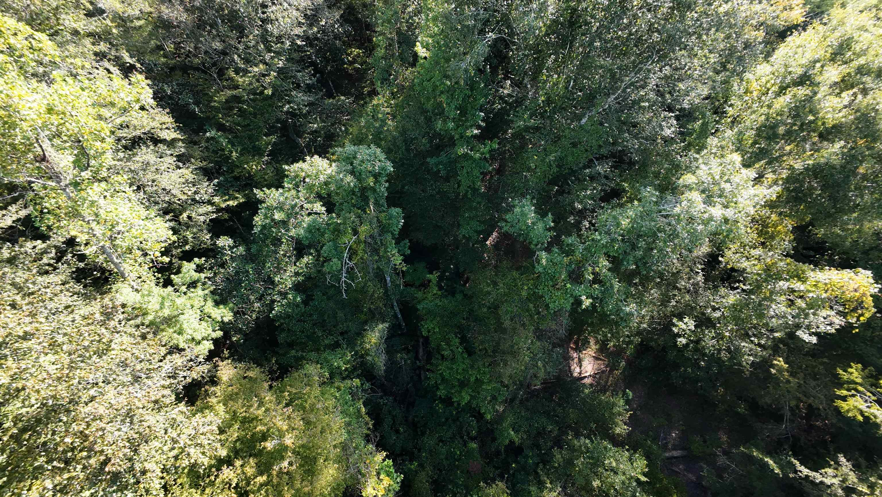 xx NW COUNTY ROAD 270 Road