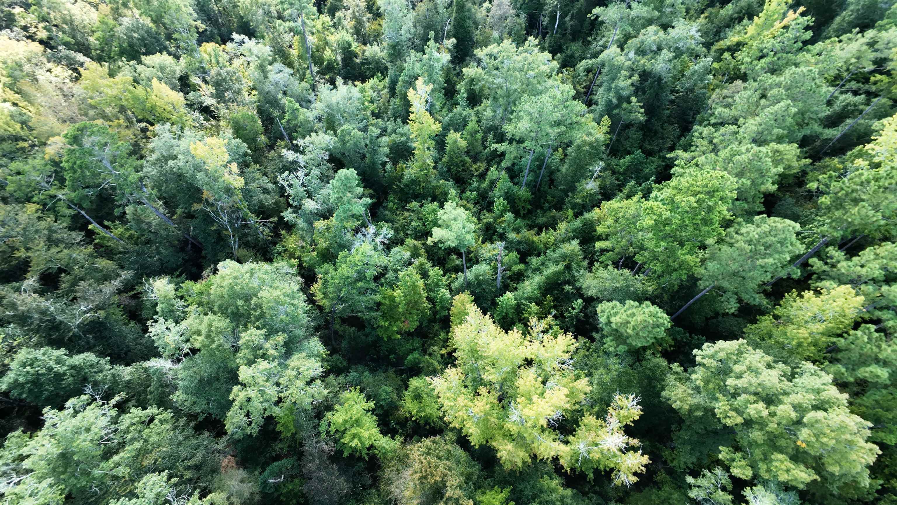 xx NW COUNTY ROAD 270 Road