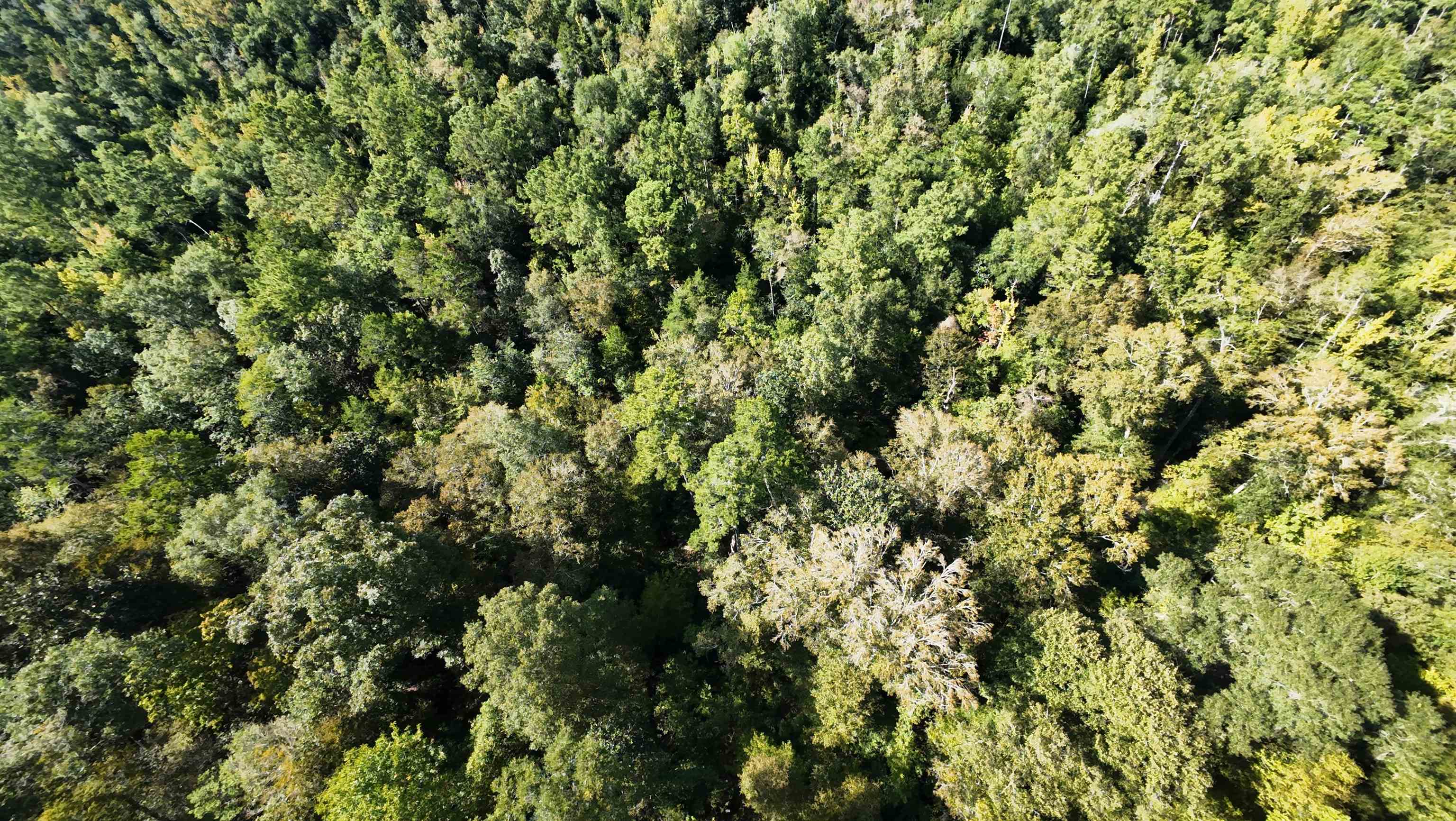 xx NW COUNTY ROAD 270 Road