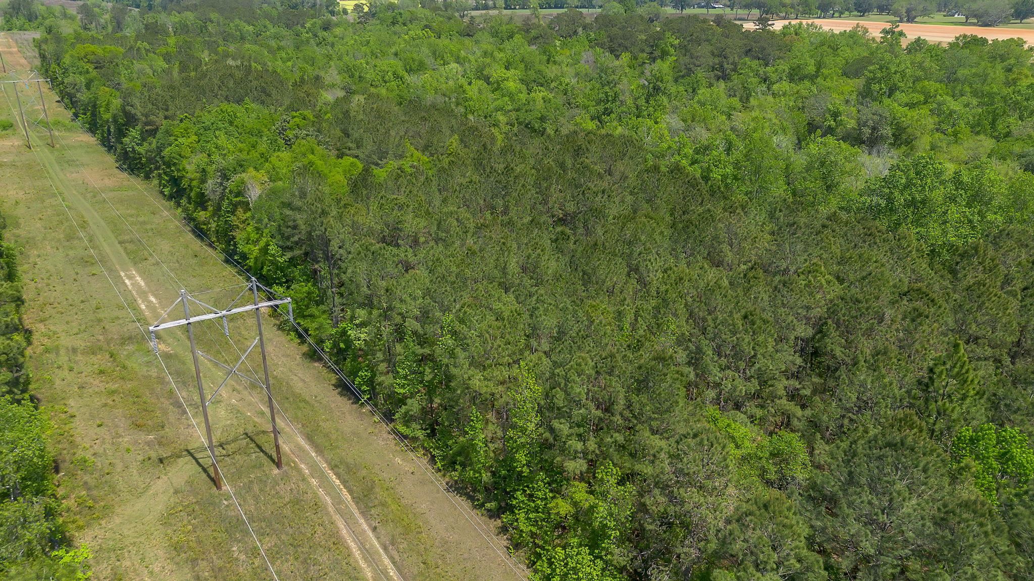 Aerial view of wooded land beside a cleared power-line corridor.
