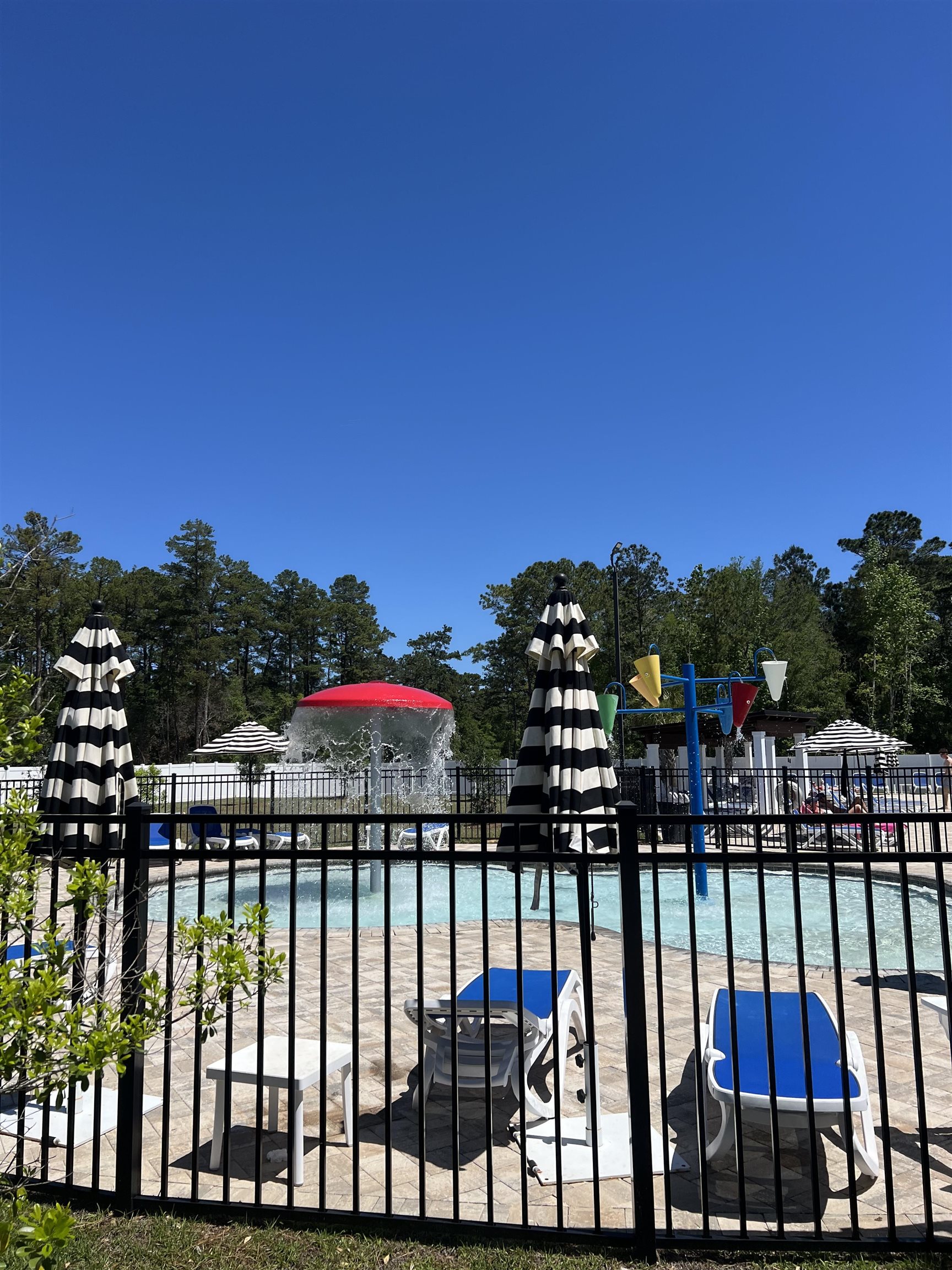 2840 BLUE BLOSSOM Trail