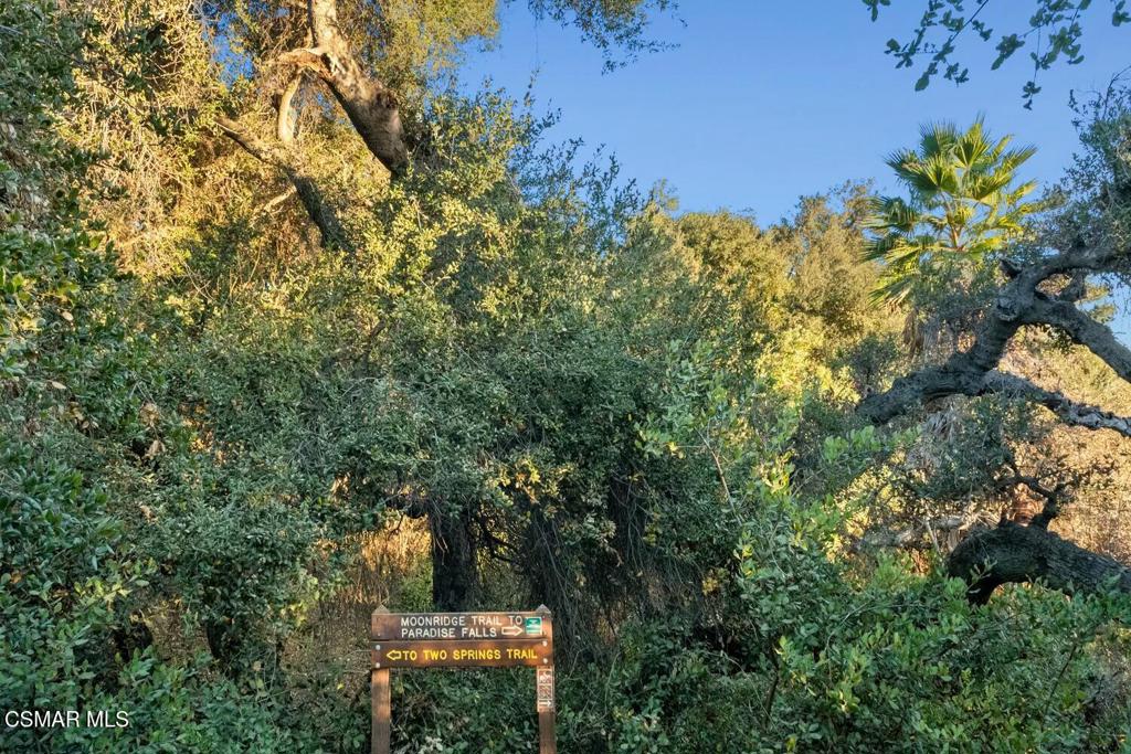 389 Raindance Street