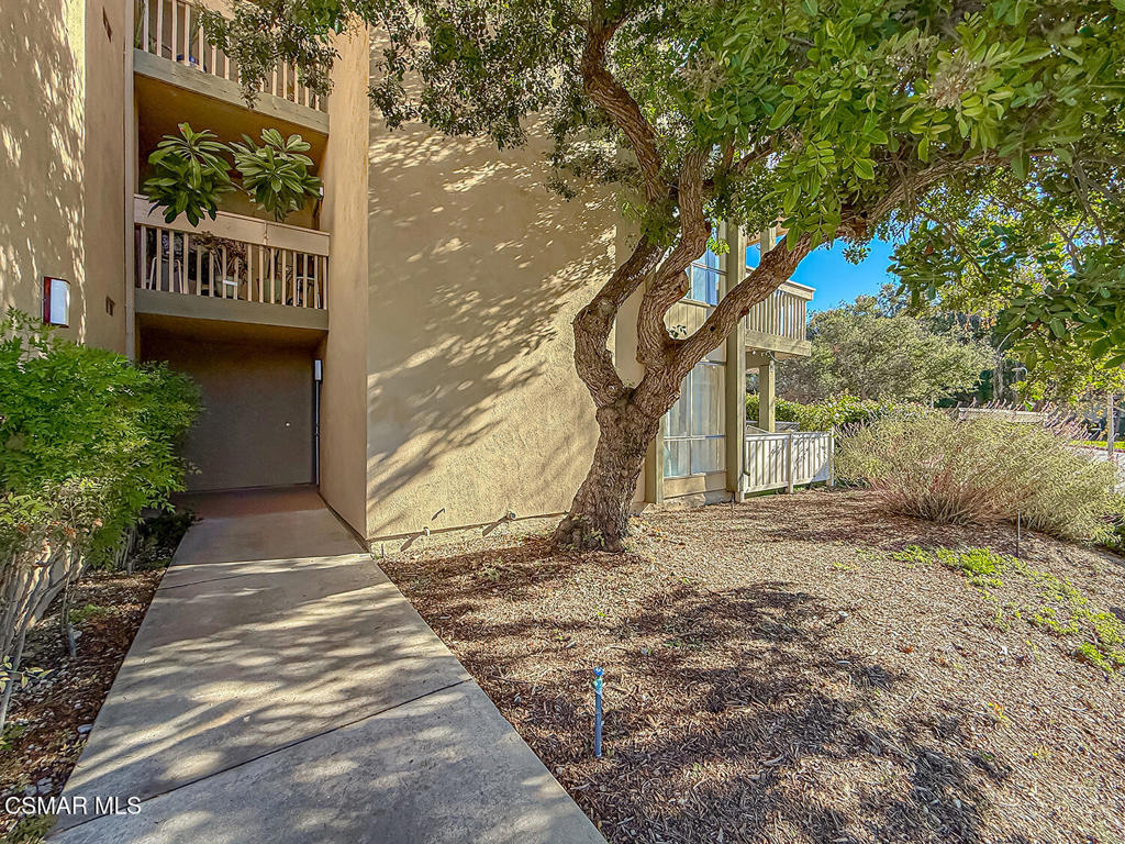 291 Sequoia Court 17