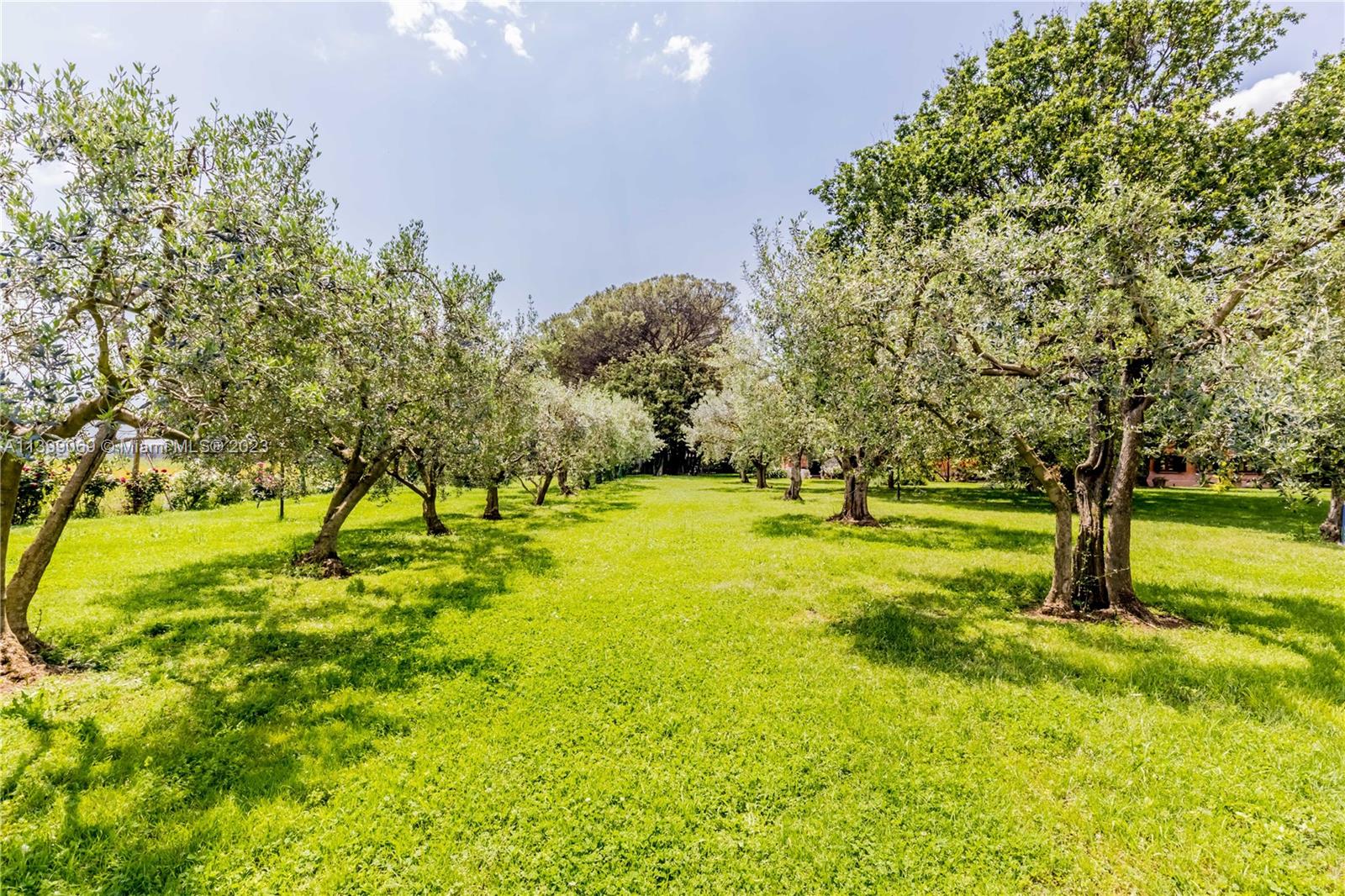 Ville in Vendita Appia Antica - Massimiliano Mlekus