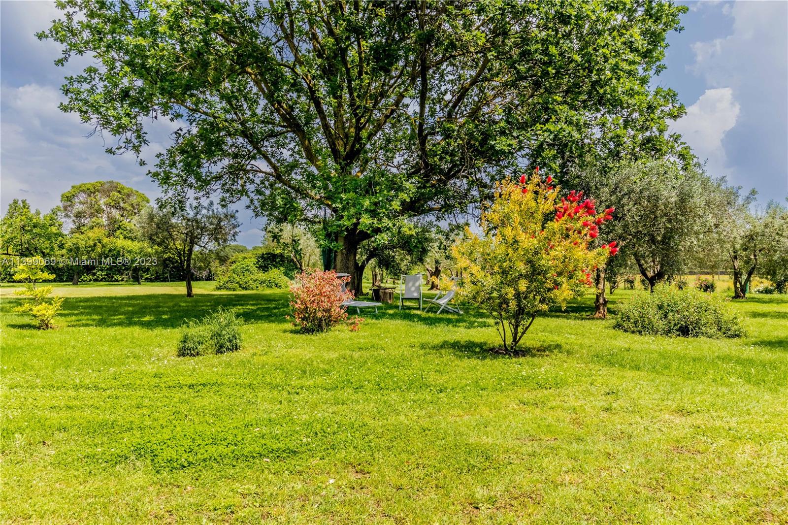 Ville in Vendita Appia Antica - Massimiliano Mlekus