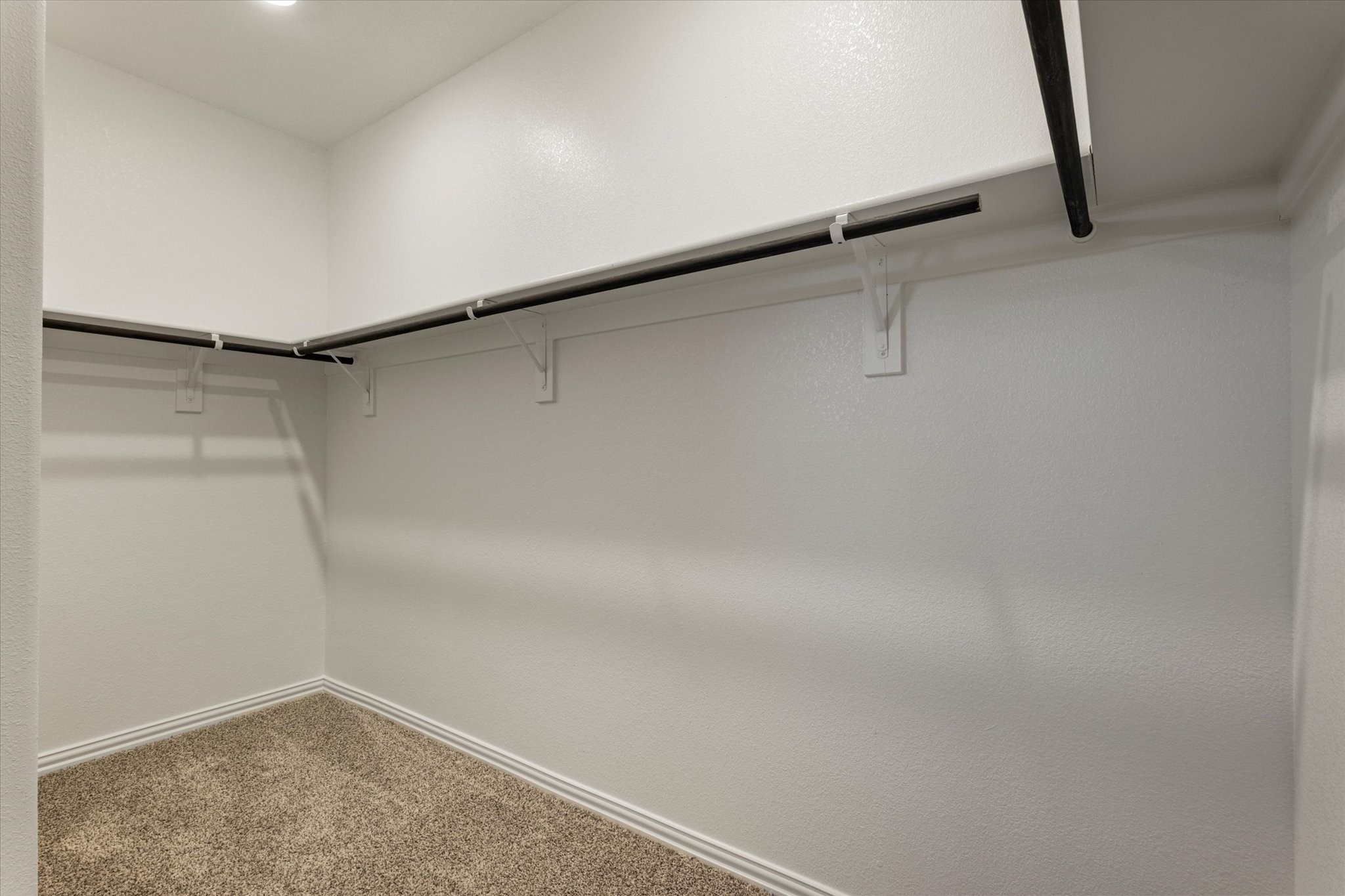 520 Hemingway Lane