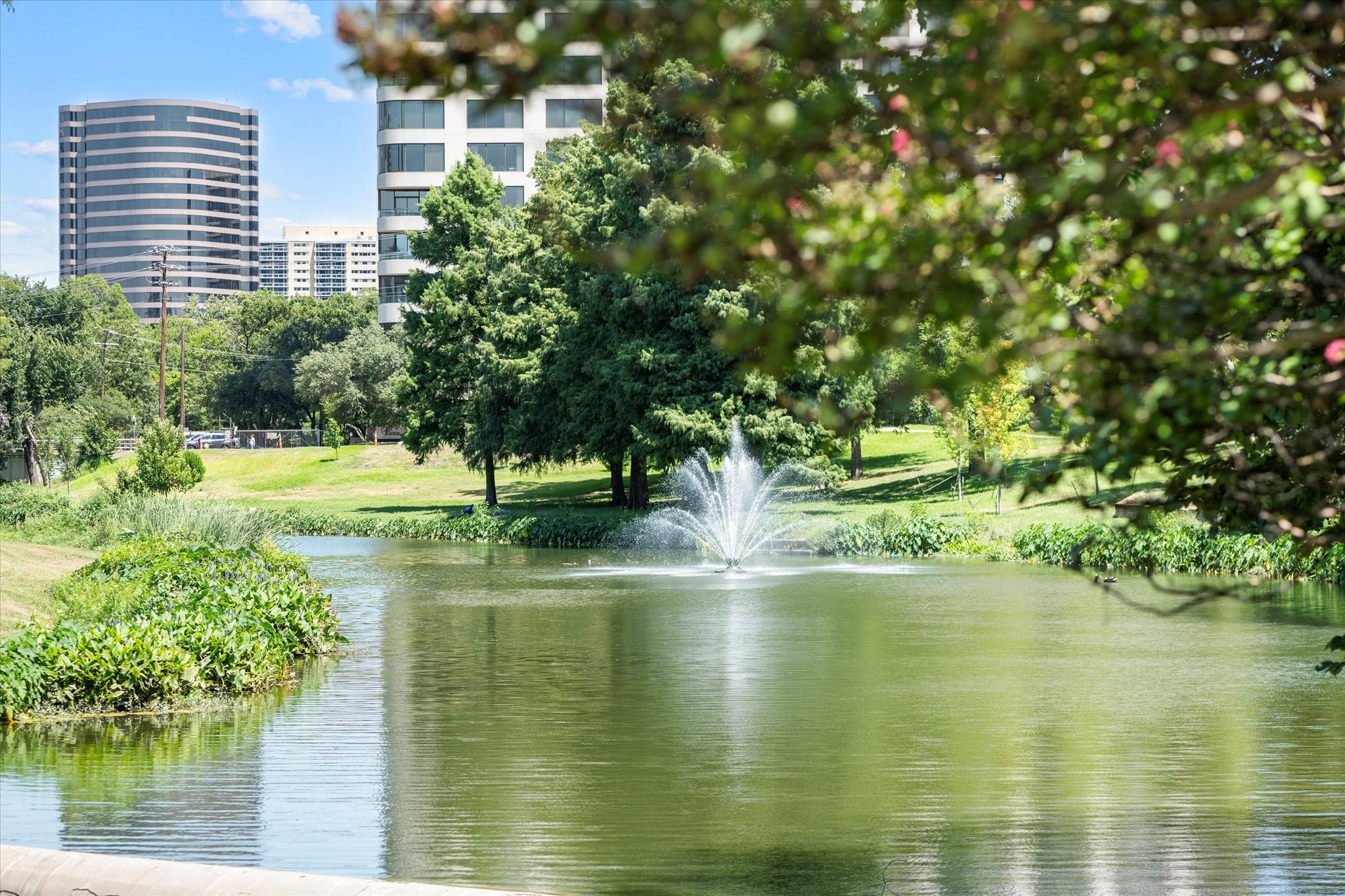 3225 Turtle Creek Boulevard 707