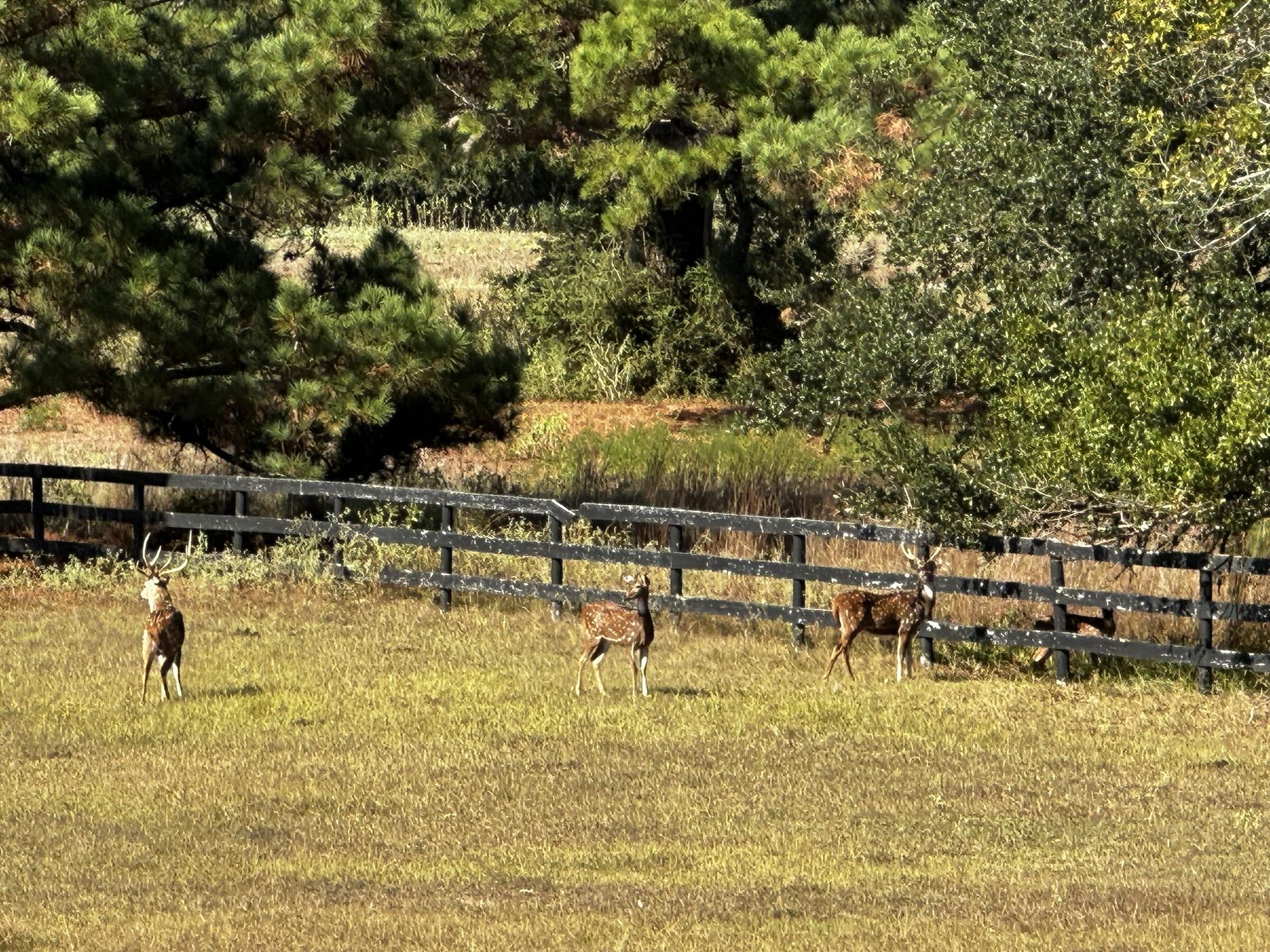 404 Saint Andrews Drive