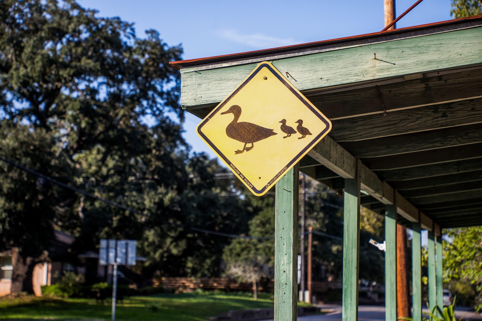 TBD Sunny Hills Lot 22 Drive