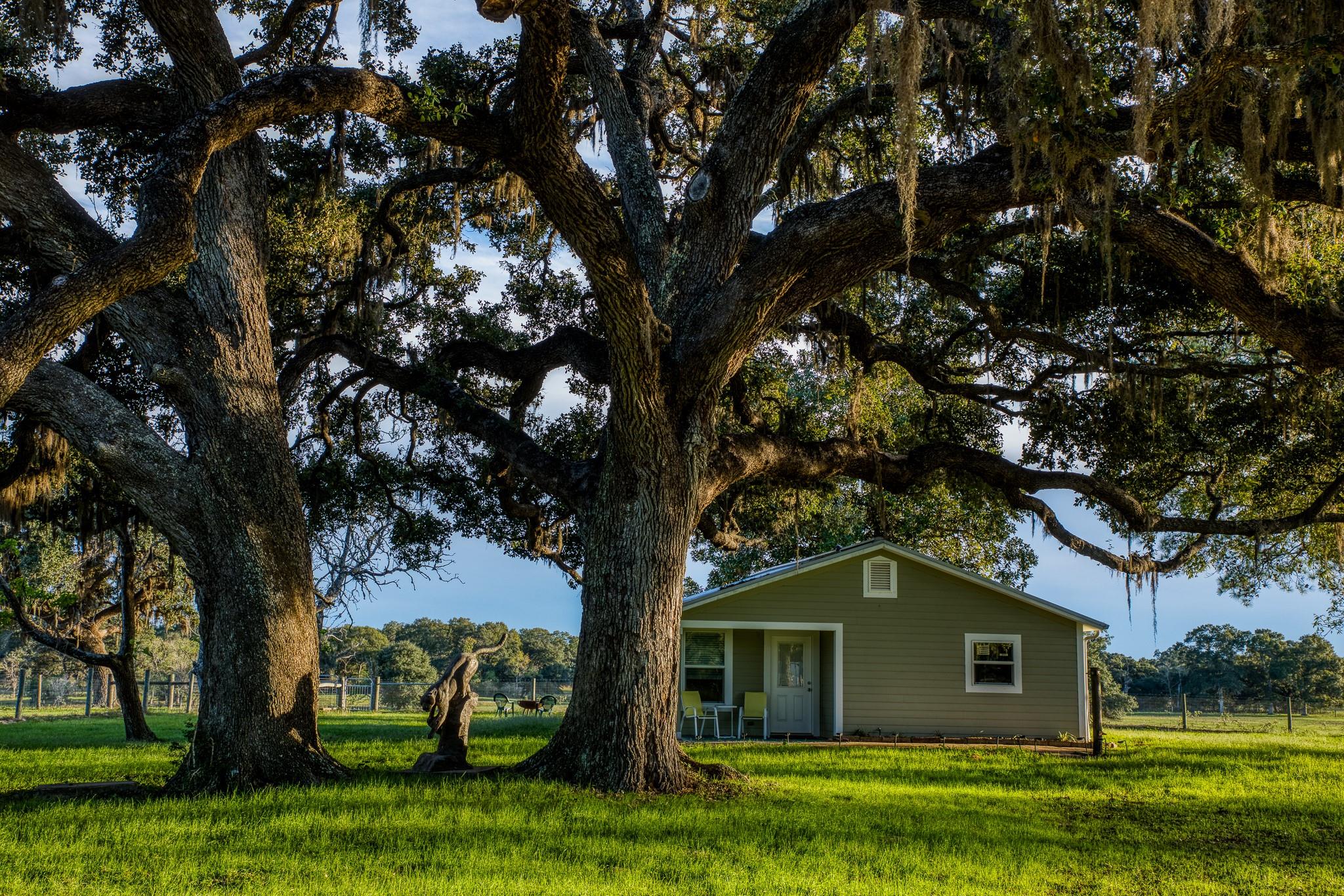 1224 Haines Road