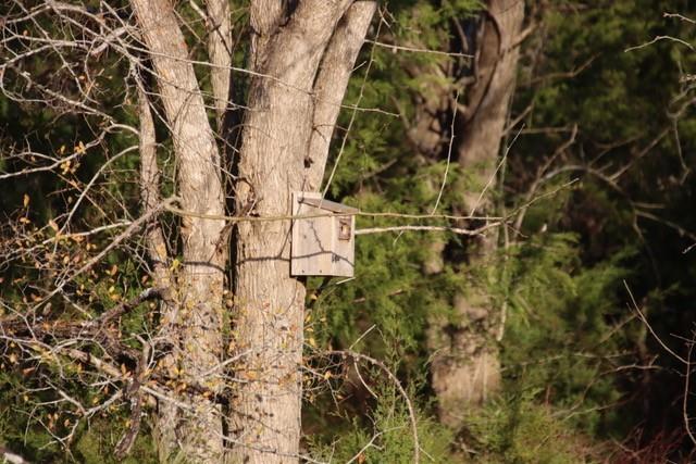 Lot 22 Chappell Reserve Drive