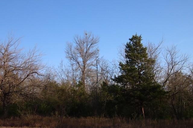 Lot 22 Chappell Reserve Drive