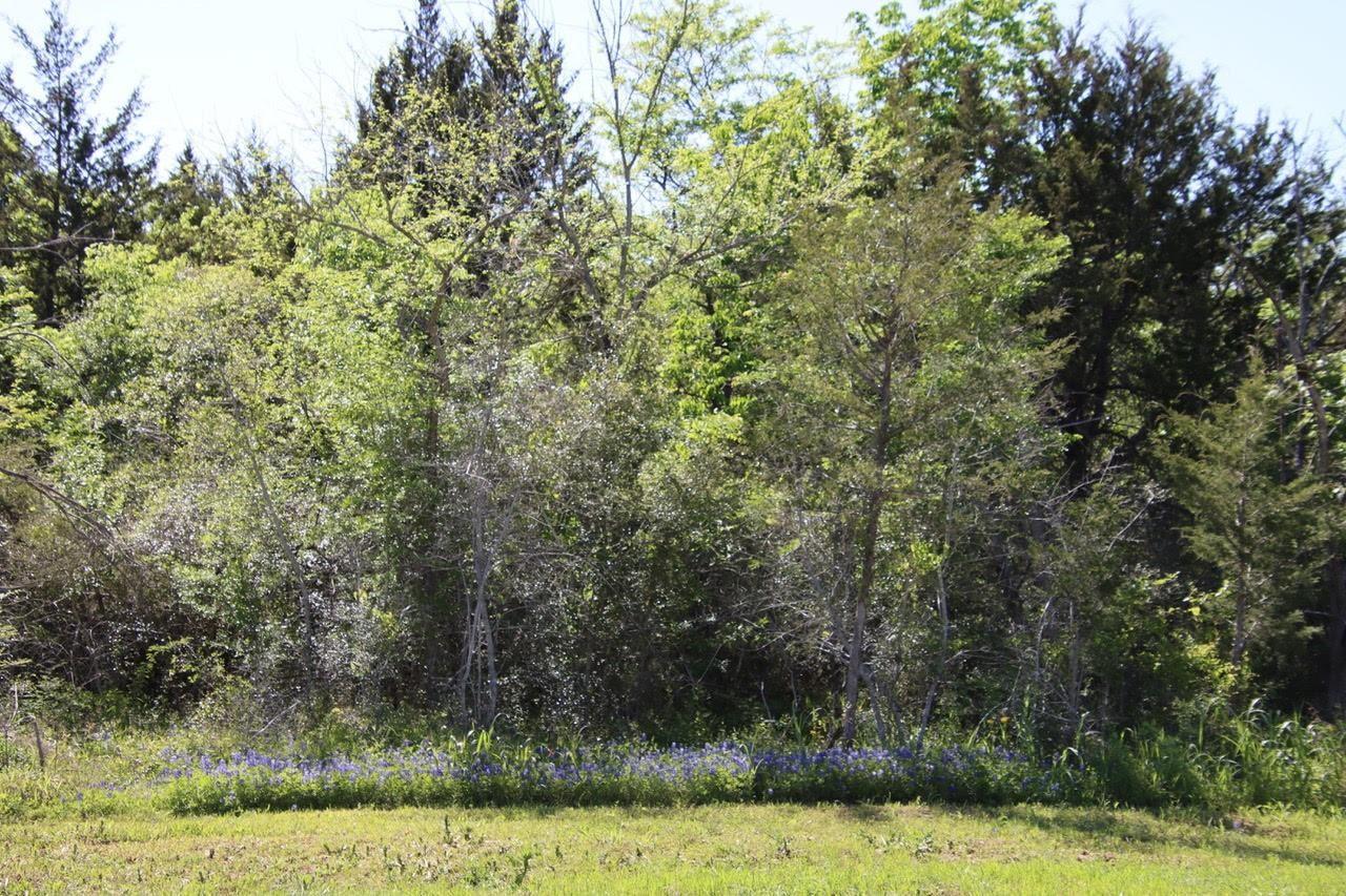 0 Wooded Reserve Court