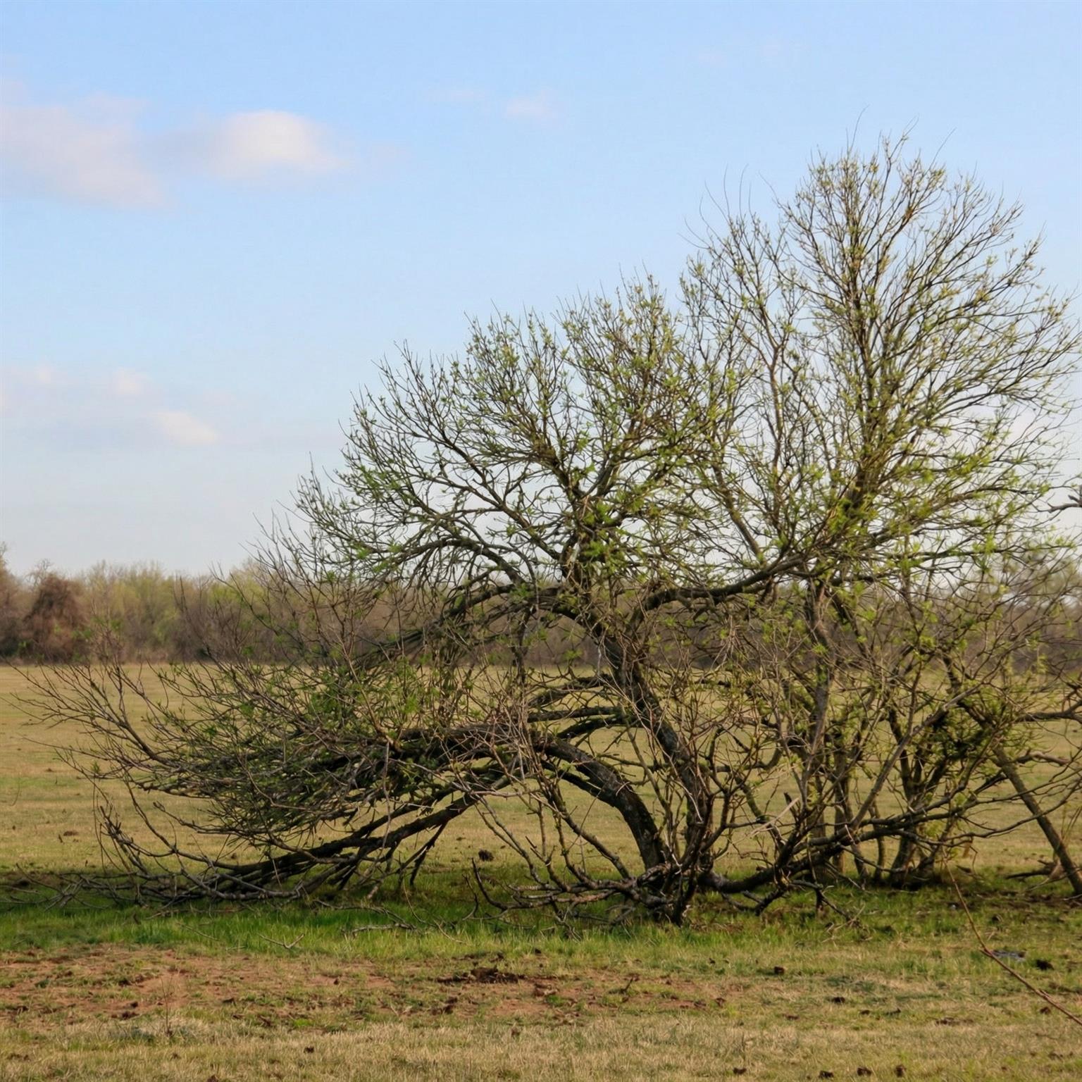 5020 Metting School Road