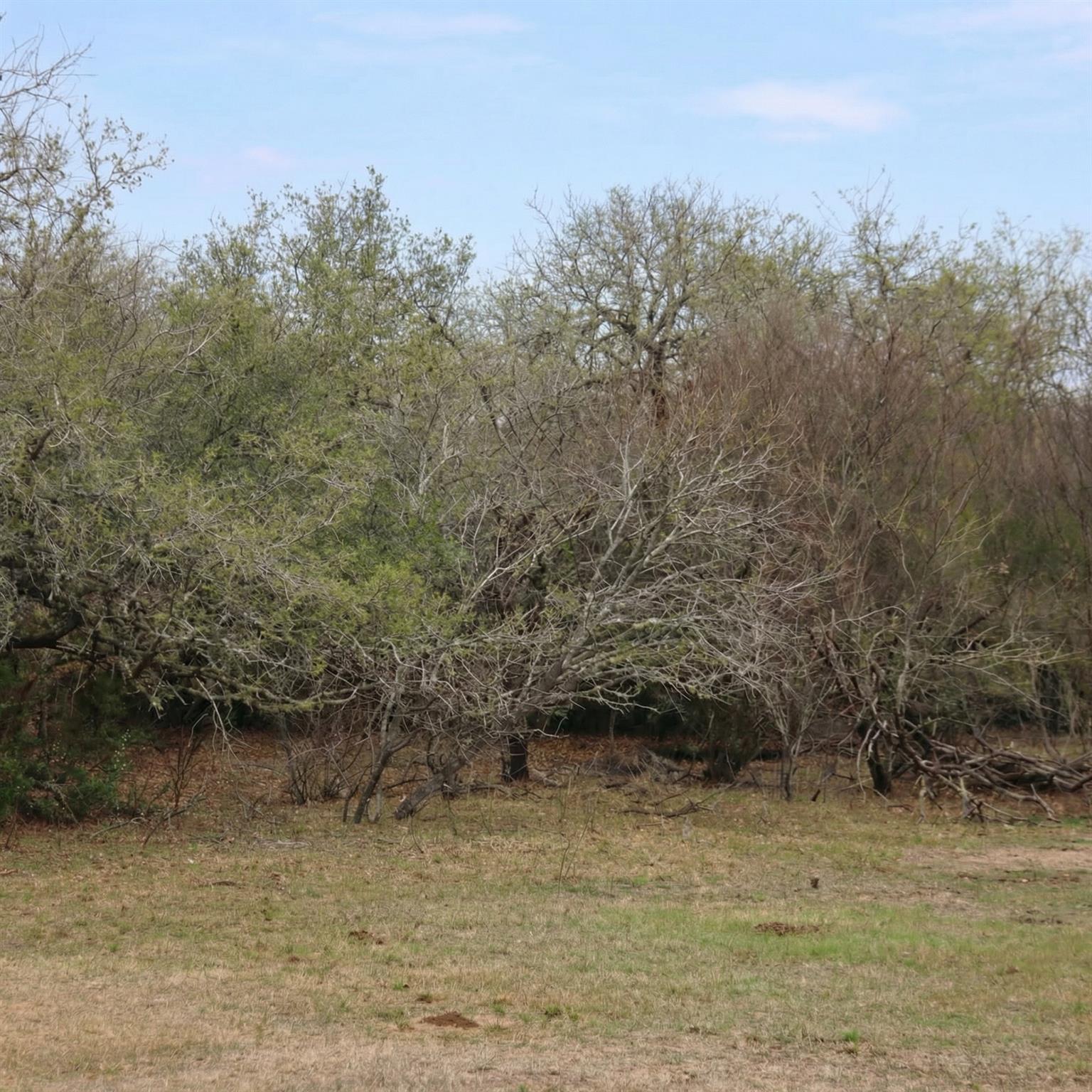 5020 Metting School Road