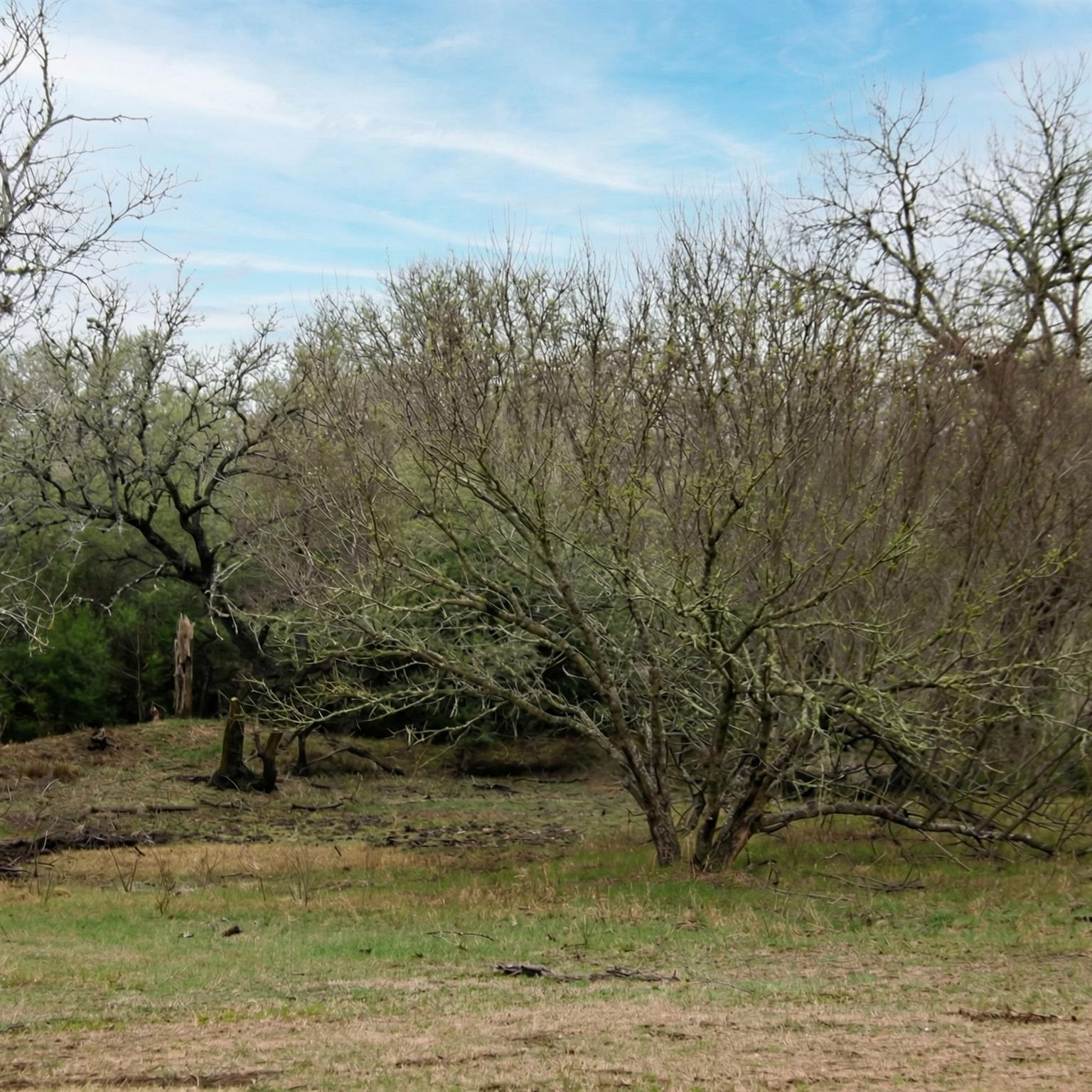 5020 Metting School Road