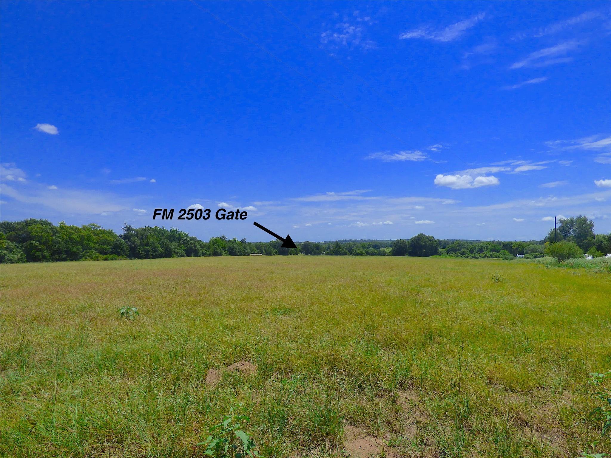 0 TBD FM 2503 Fm 2503 Road
