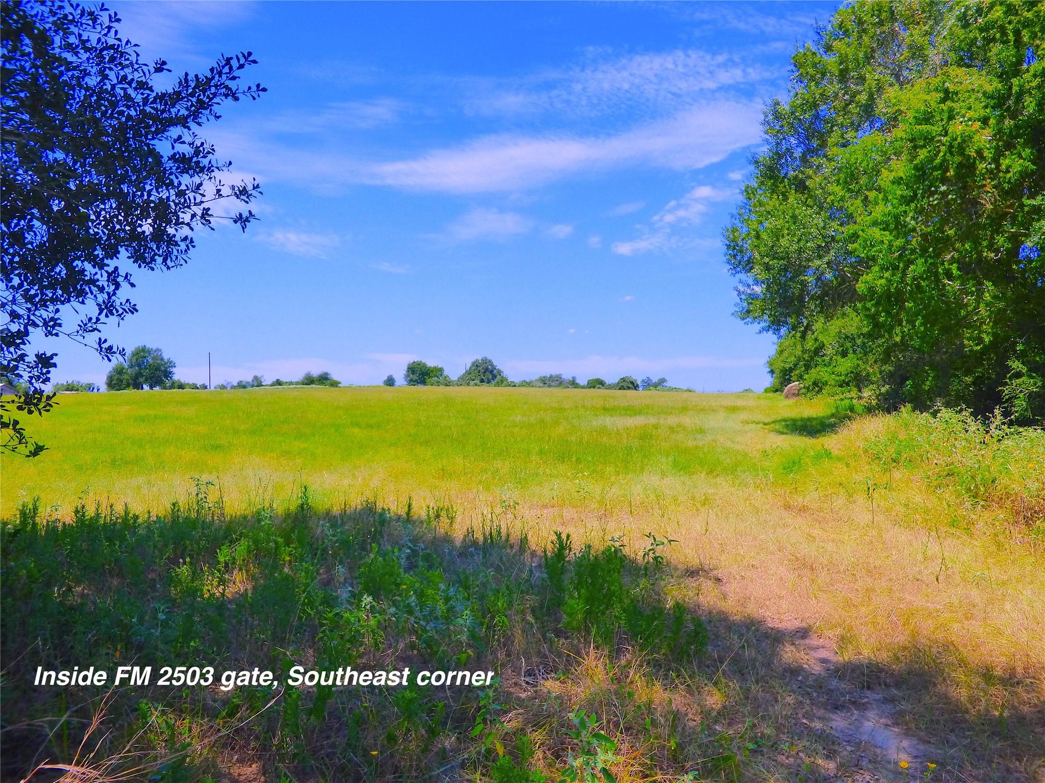 0 TBD FM 2503 Fm 2503 Road