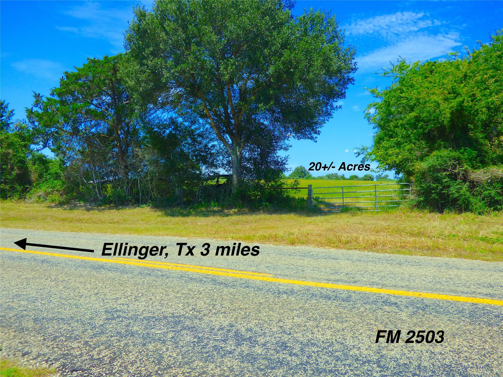 0 TBD FM 2503 Fm 2503 Road