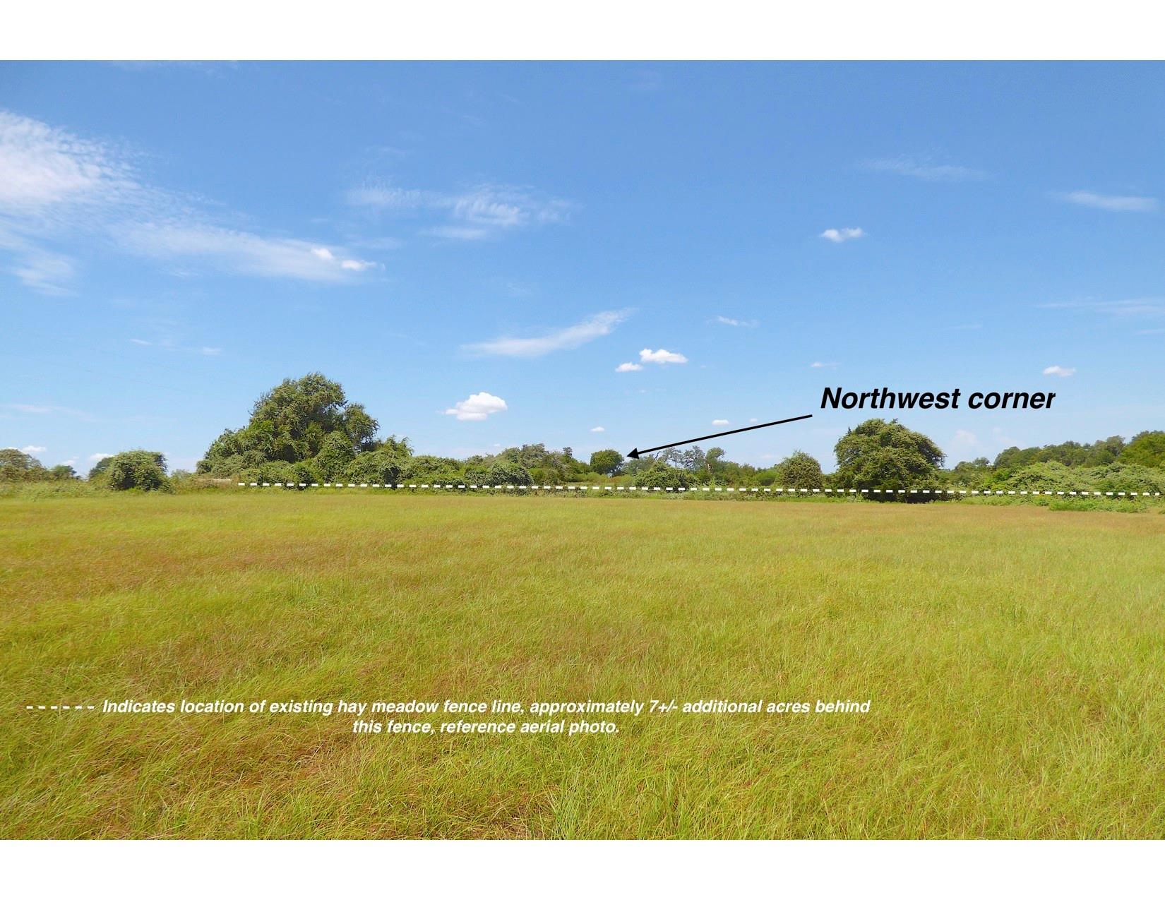 0 TBD FM 2503 Fm 2503 Road