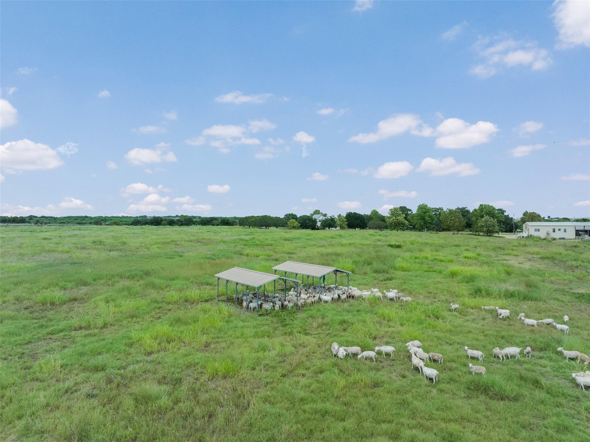 5255 Ganske Road