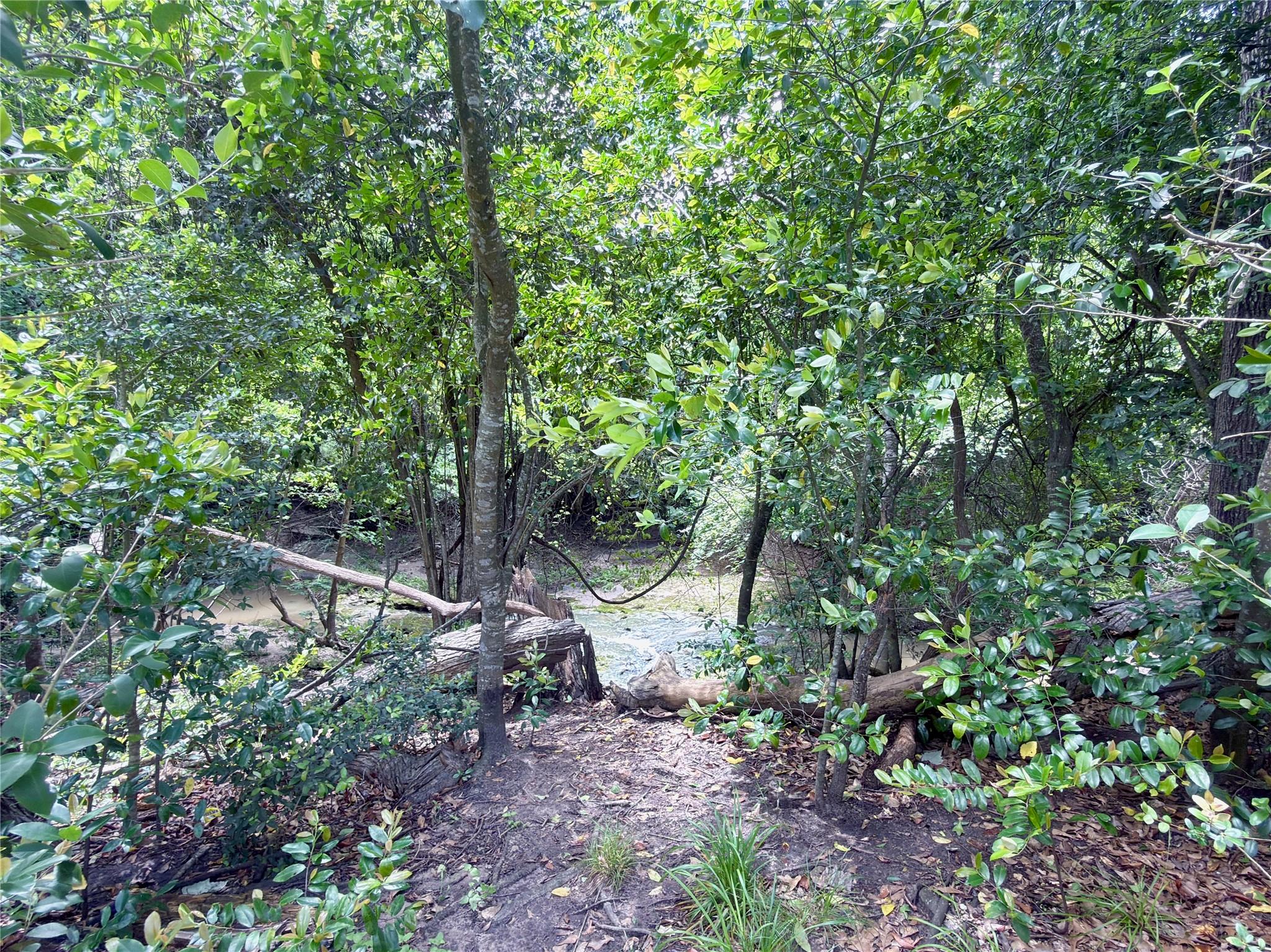 308 Lois Wright Circle