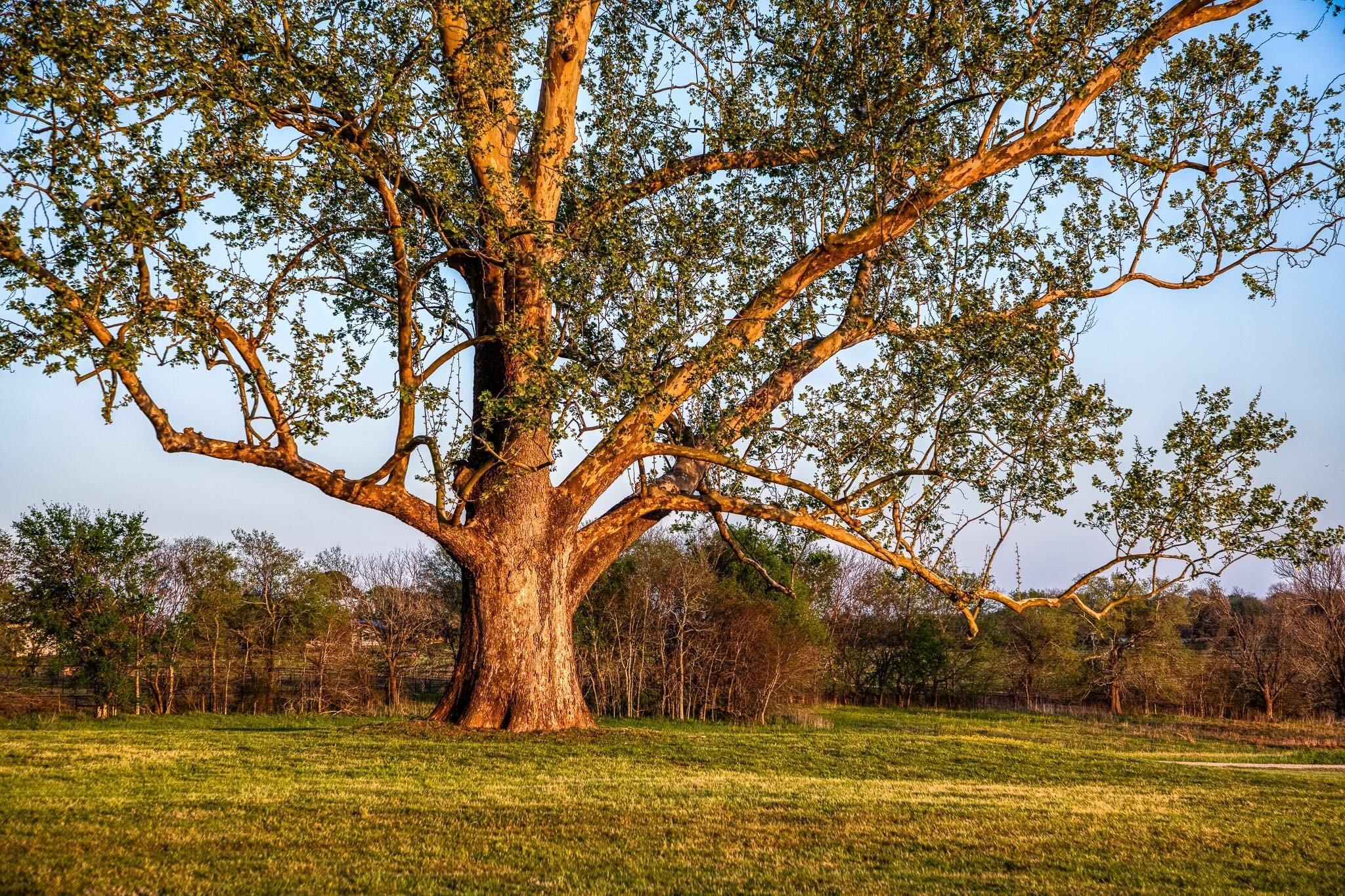 3401 Us Highway 290 E