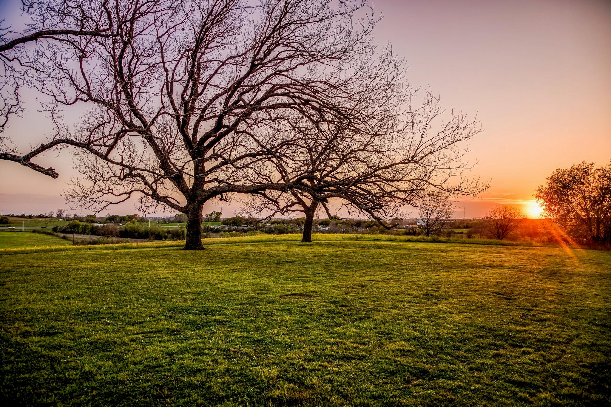 3401 Us Highway 290 E