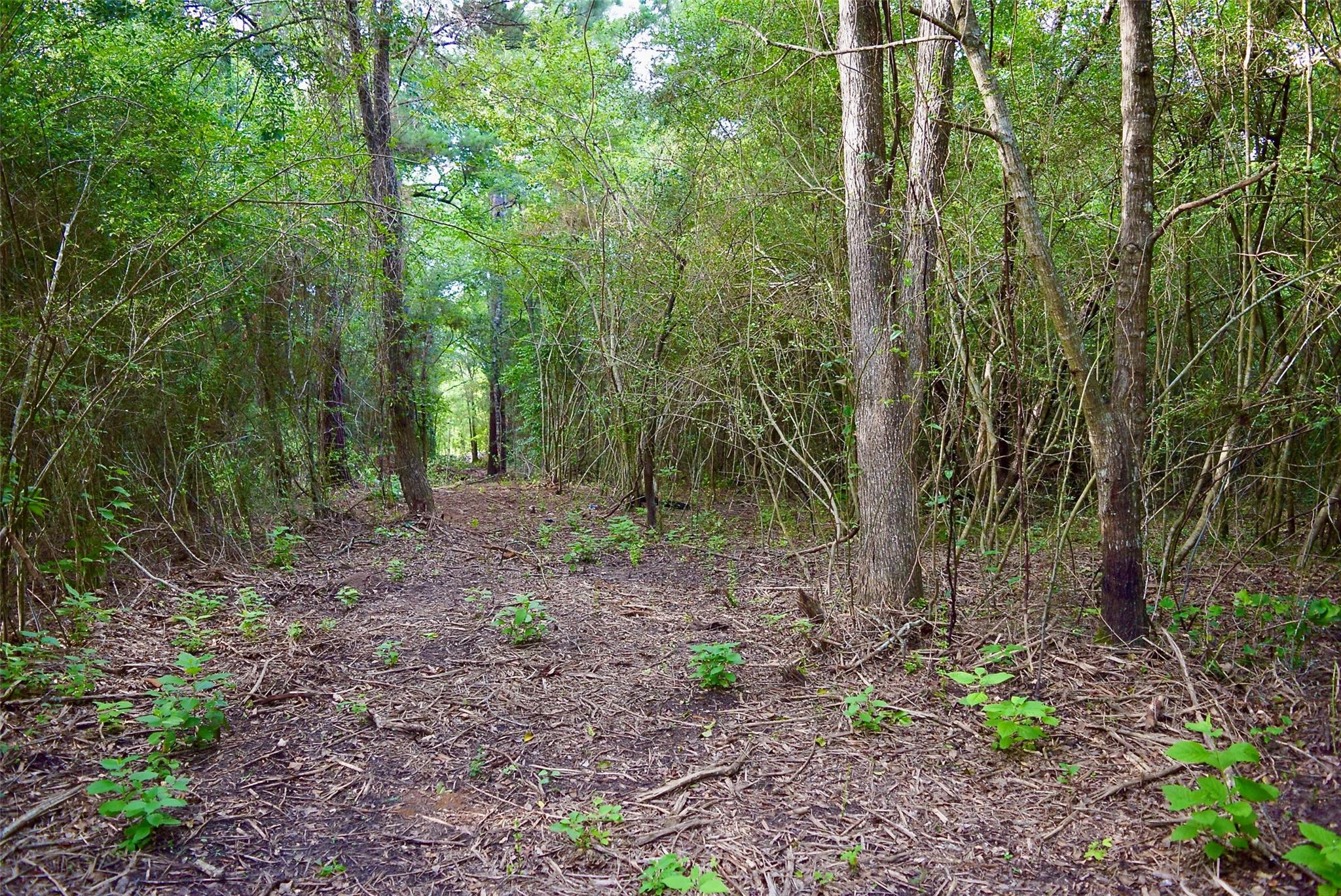 TBD Sharp Road