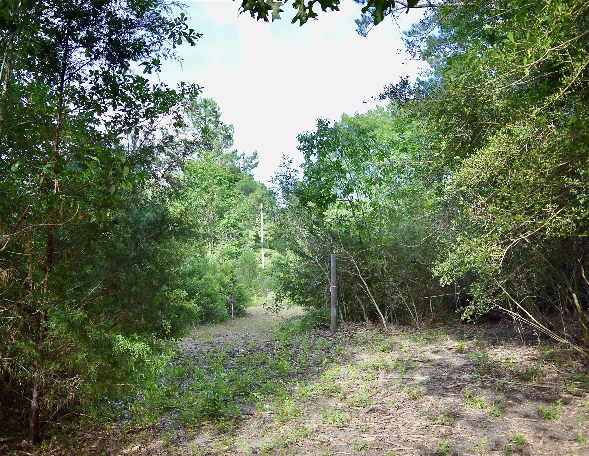 TBD Sharp Road