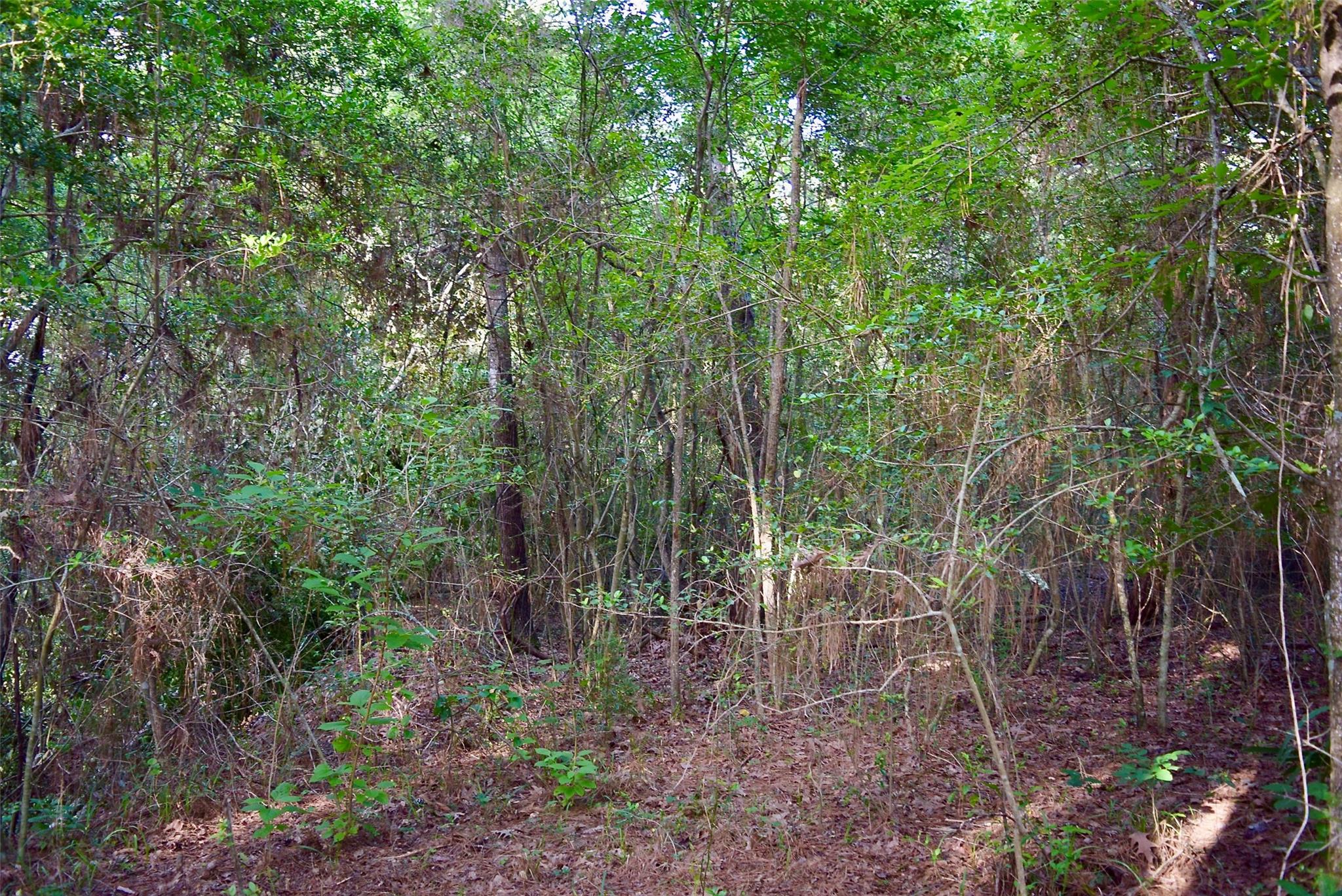 TBD Sharp Road