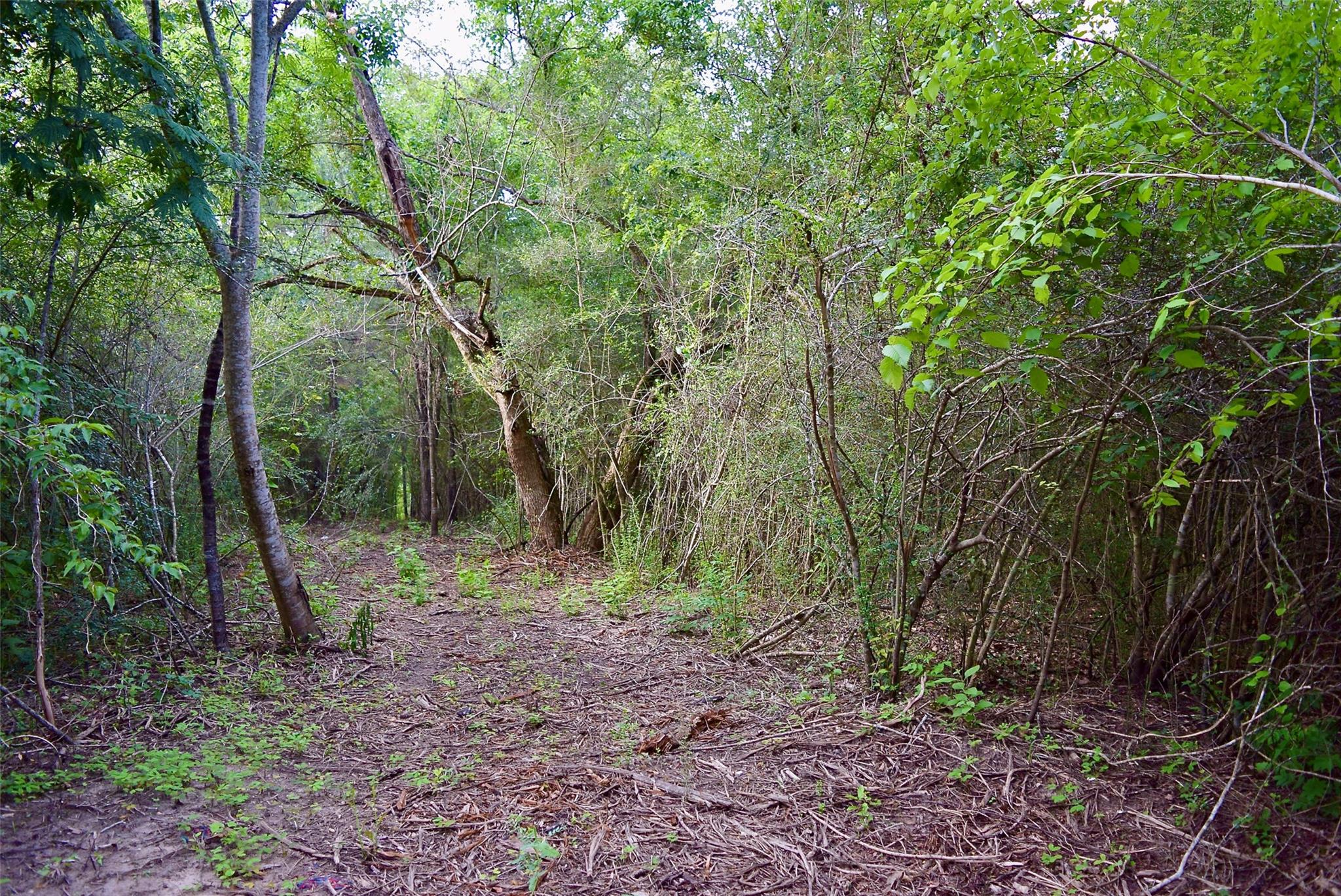 TBD Sharp Road