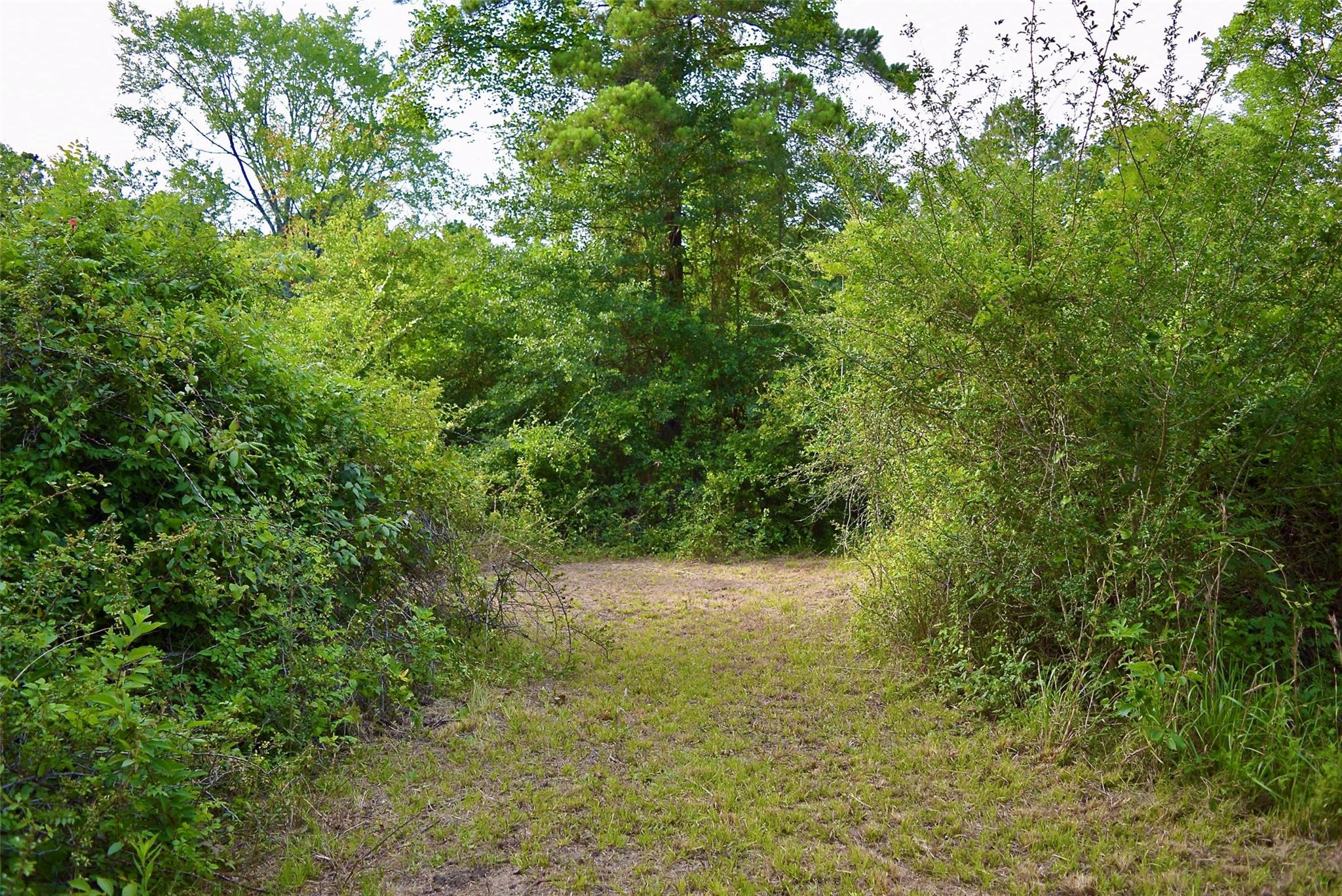 TBD Sharp Road