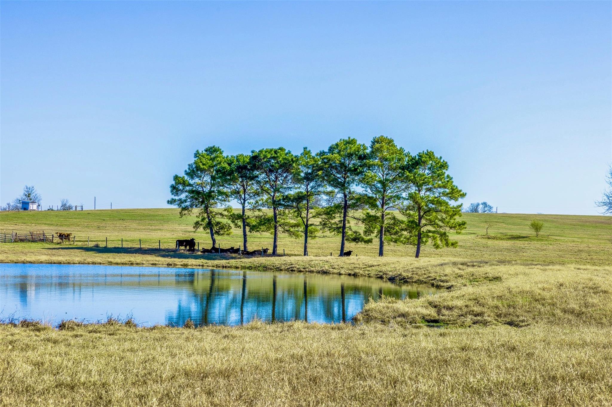 3151 Running River Lane