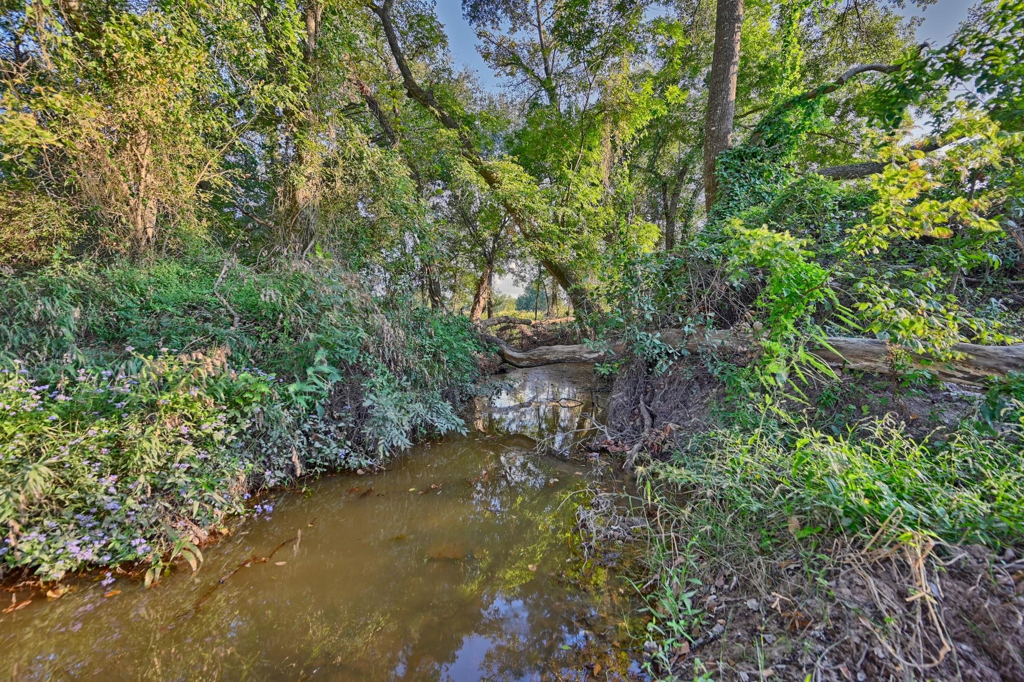 16334 Farm To Market Road 2620