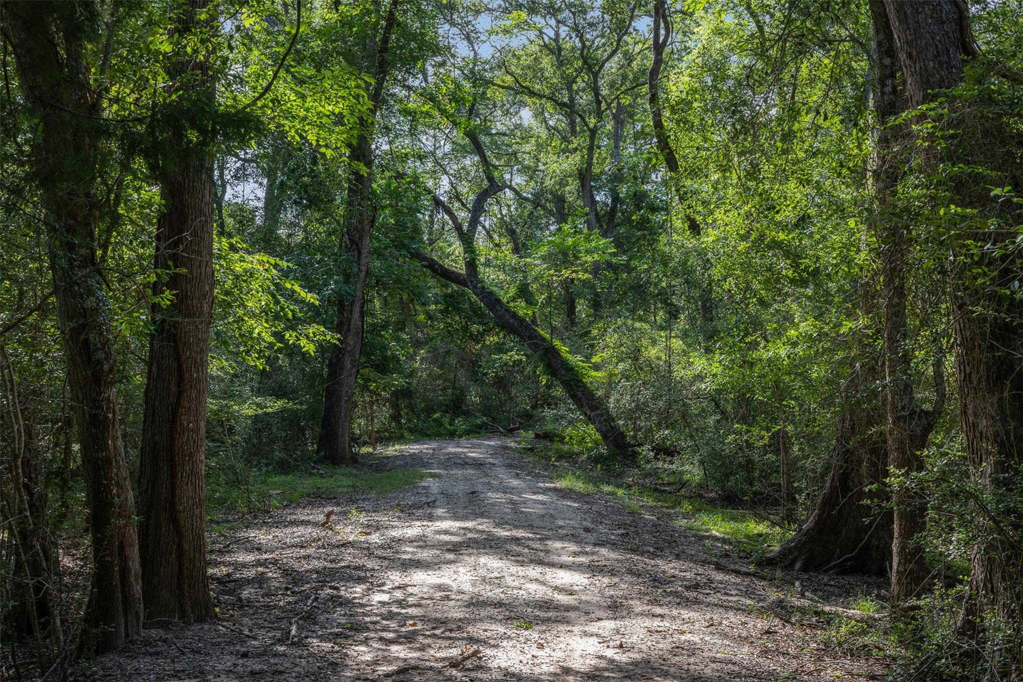 7521 Schoenau Road