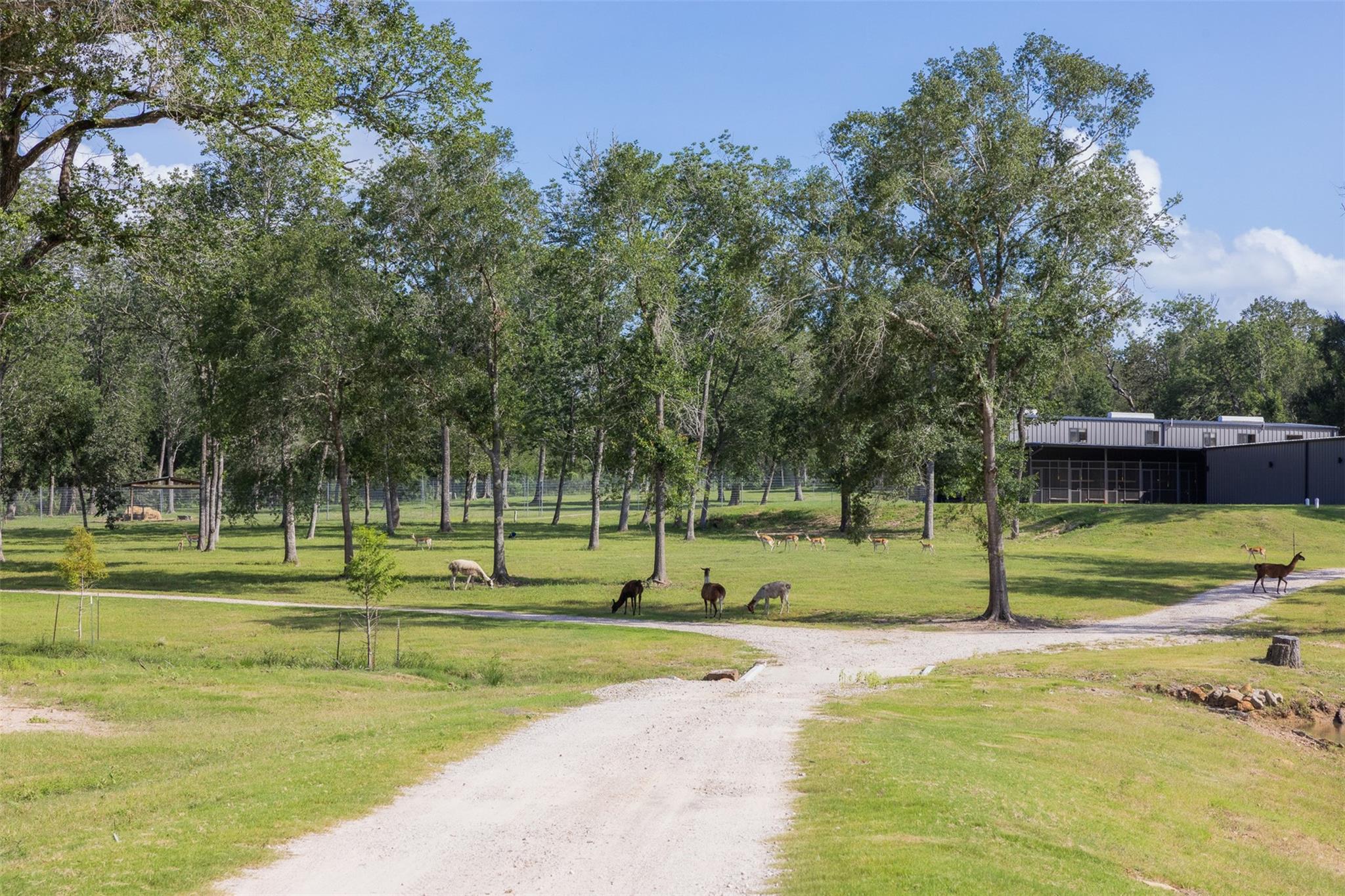 7521 Schoenau Road