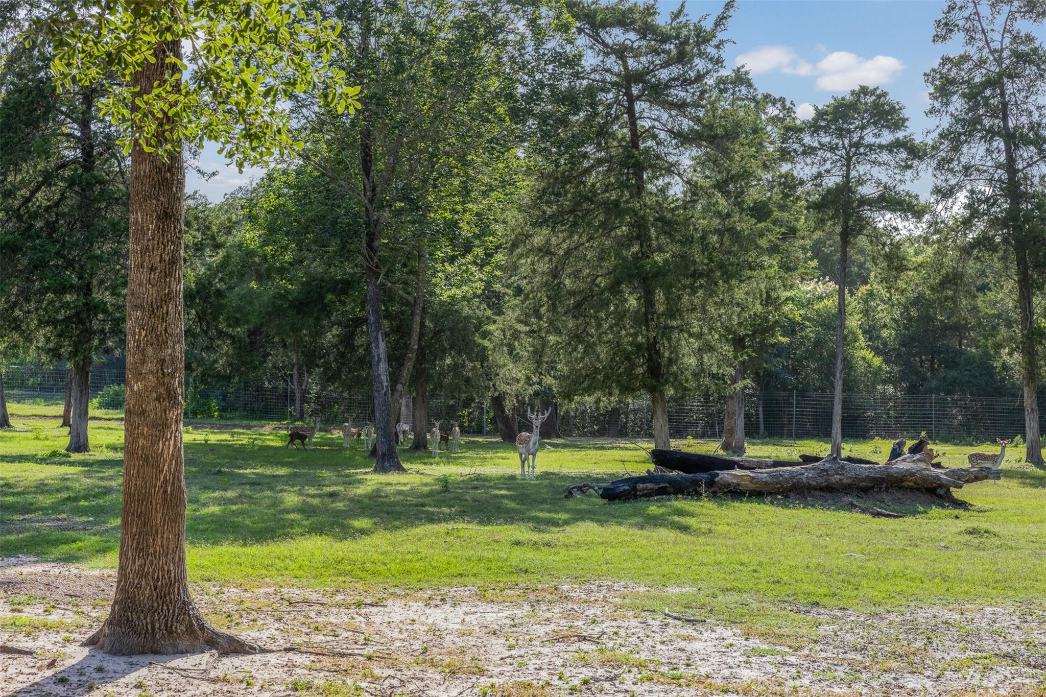7521 Schoenau Road