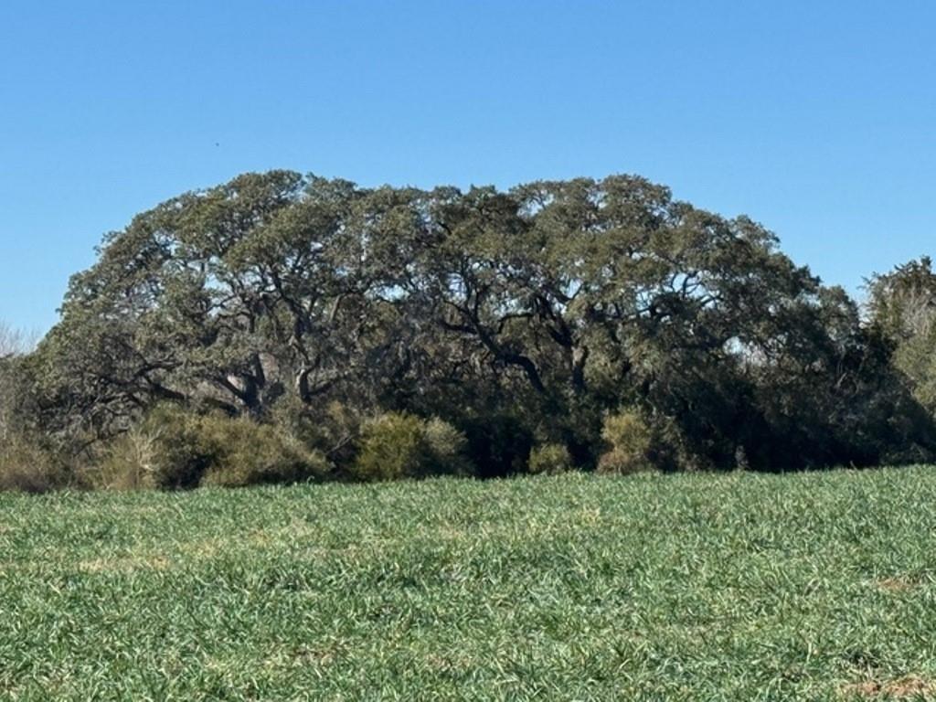 TBD Wolters And Kainer Road