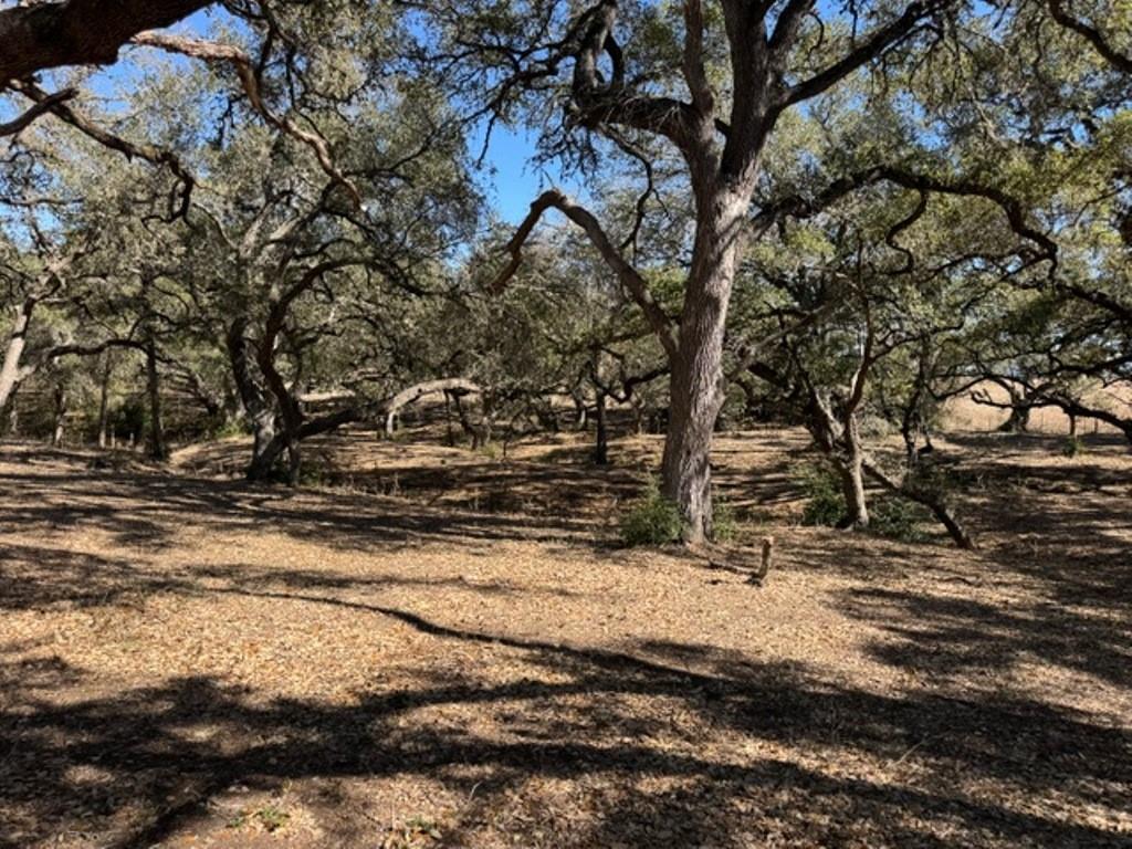 TBD Wolters And Kainer Road