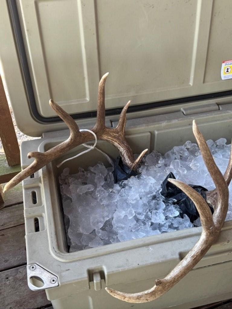 TBD Wolters And Kainer Road