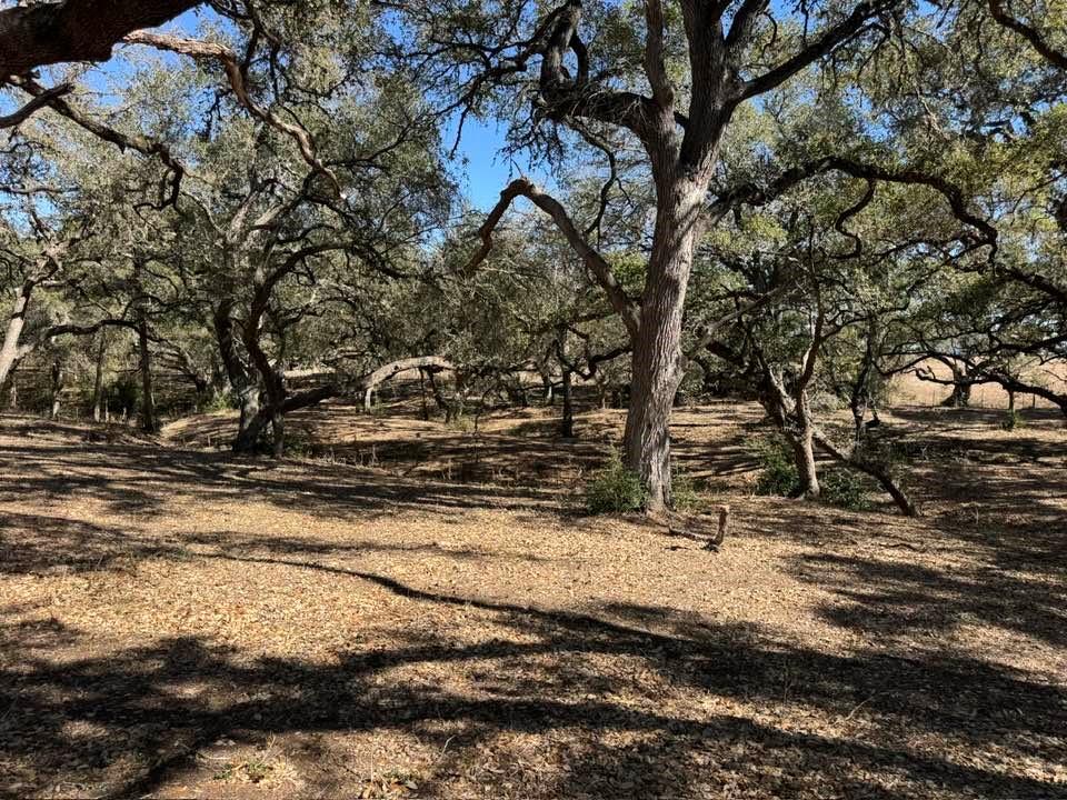 TBD Wolters And Kainer Road