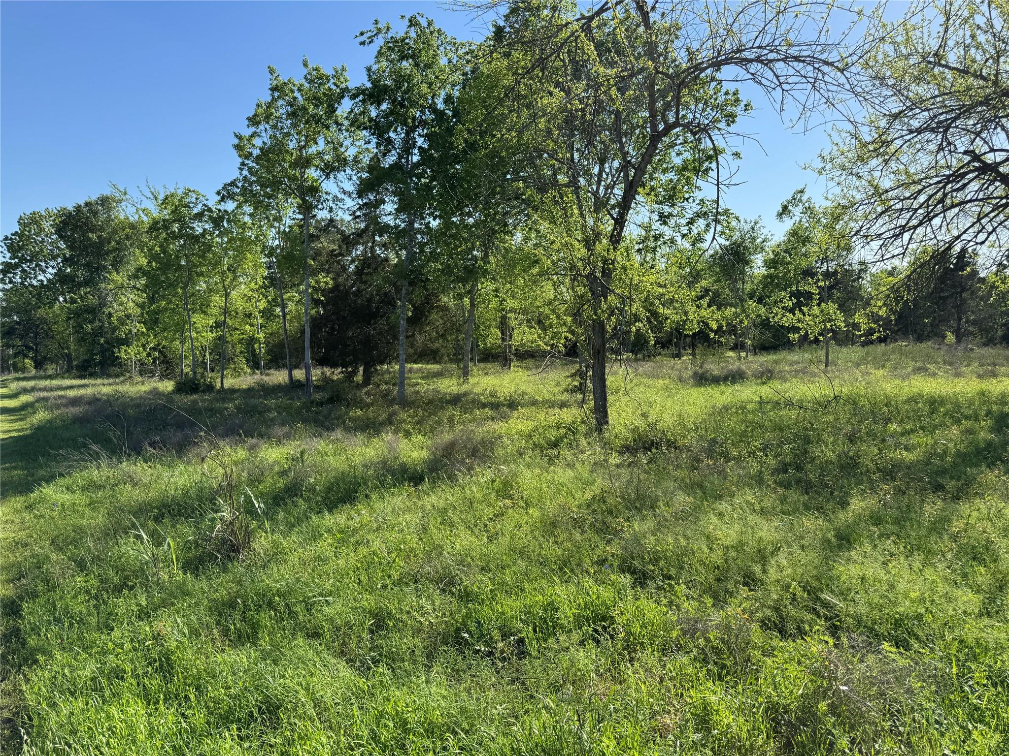 Lot 21 Timberside Court