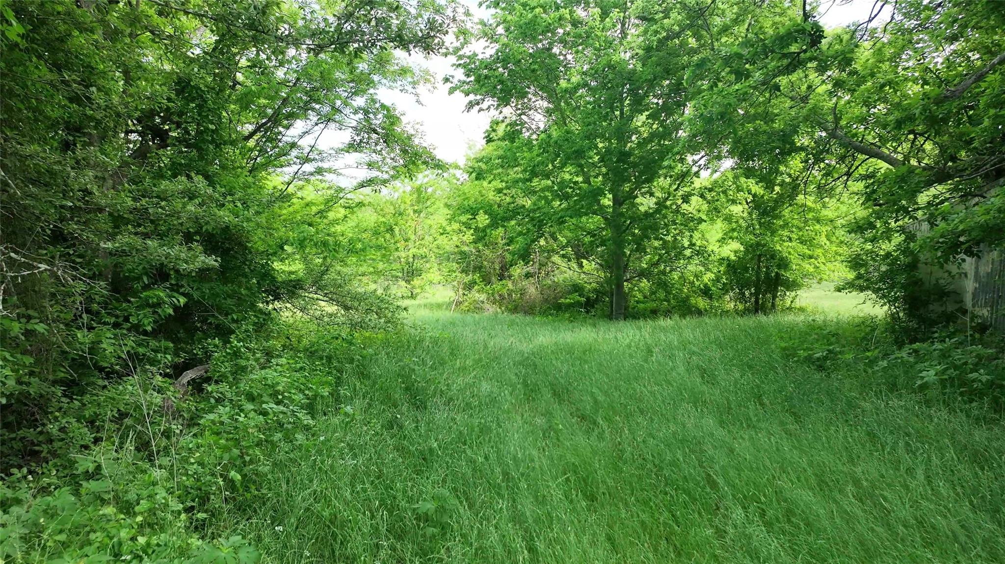 3385 Felder Road