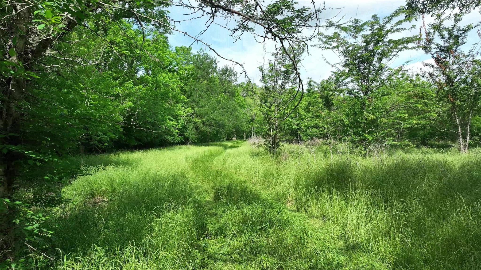 3385 Felder Road