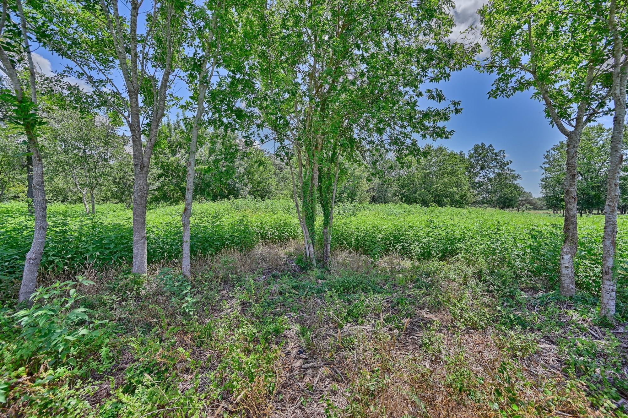 330 N Nassau Road